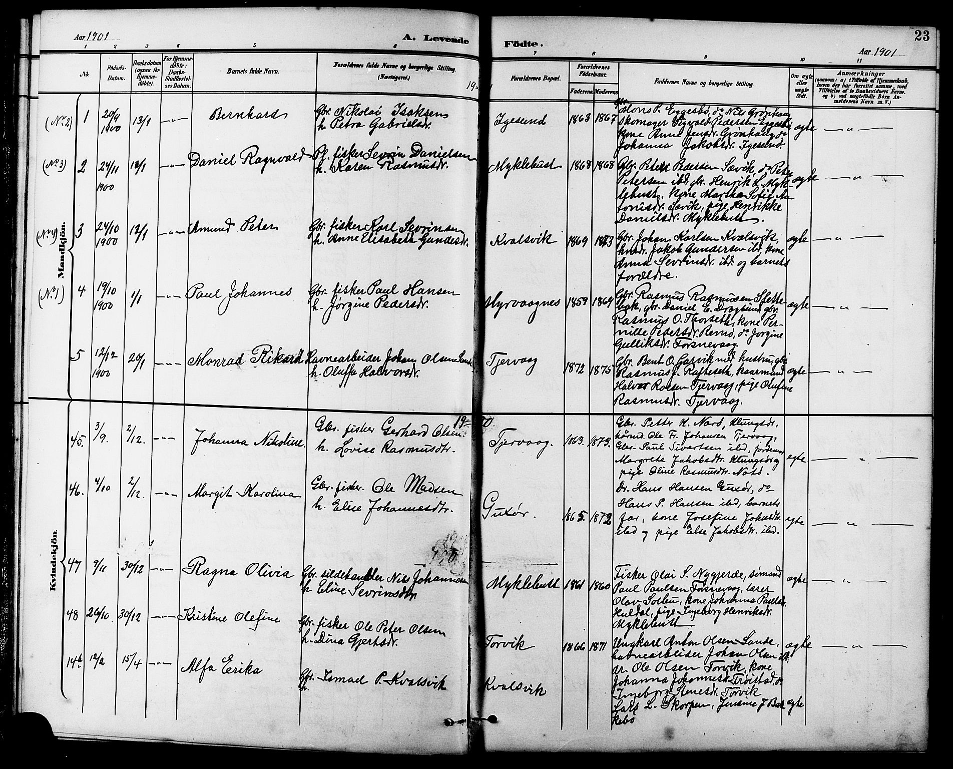 Ministerialprotokoller, klokkerbøker og fødselsregistre - Møre og Romsdal, AV/SAT-A-1454/507/L0082: Parish register (copy) no. 507C05, 1896-1914, p. 23