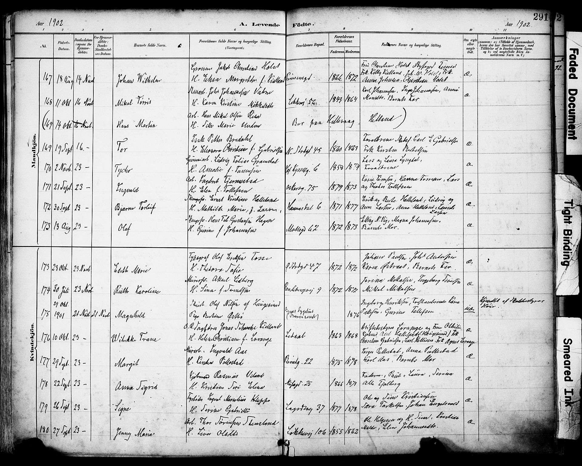 Domkirken sokneprestkontor, SAST/A-101812/001/30/30BA/L0030: Parish register (official) no. A 29, 1889-1902, p. 291