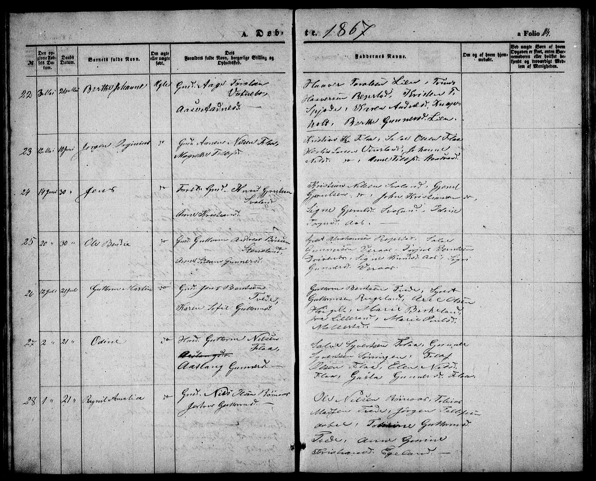 Birkenes sokneprestkontor, AV/SAK-1111-0004/F/Fb/L0002: Parish register (copy) no. B 2, 1849-1876, p. 114