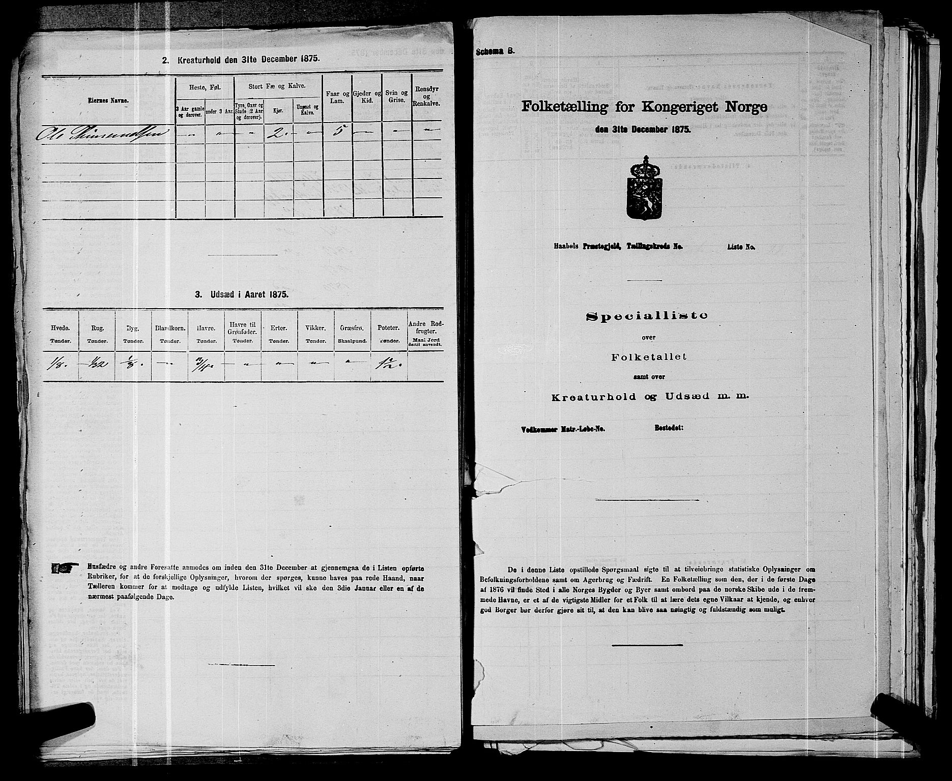 SAKO, 1875 census for 0629P Sandsvær, 1875, p. 868