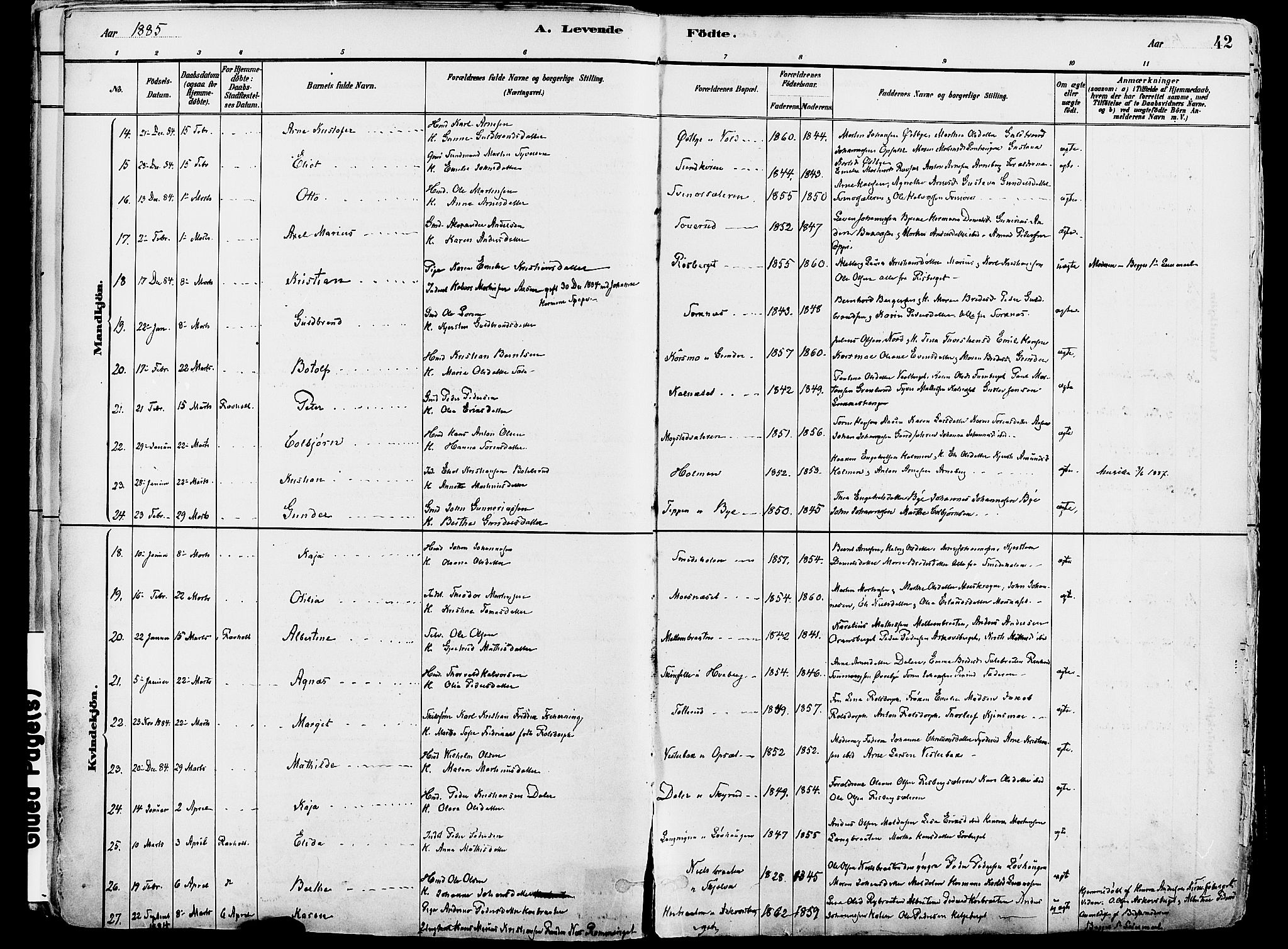 Grue prestekontor, AV/SAH-PREST-036/H/Ha/Haa/L0012: Parish register (official) no. 12, 1881-1897, p. 42