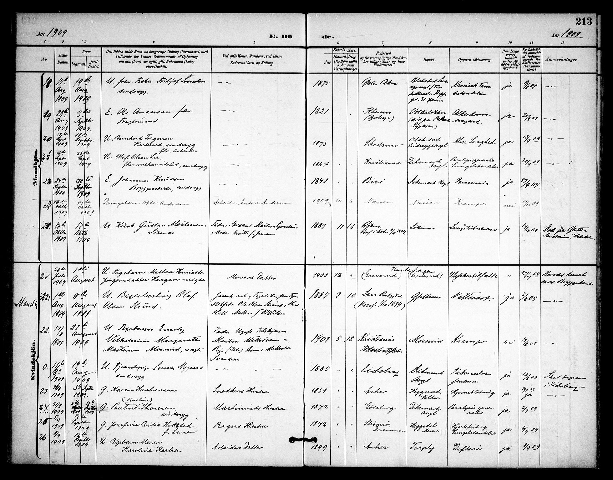 Asker prestekontor Kirkebøker, AV/SAO-A-10256a/F/Fa/L0015: Parish register (official) no. I 15, 1896-1915, p. 213