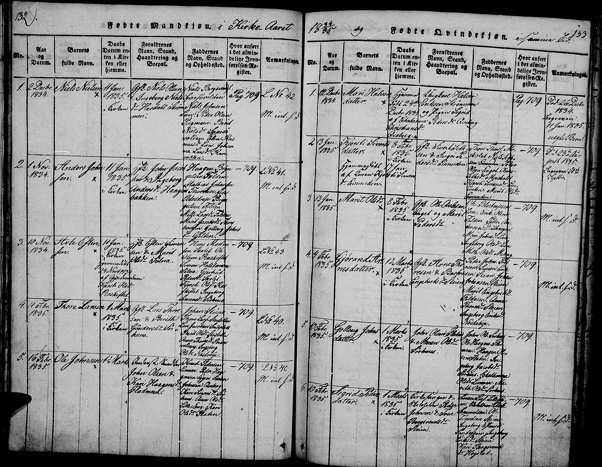 Tynset prestekontor, SAH/PREST-058/H/Ha/Hab/L0002: Parish register (copy) no. 2, 1814-1862, p. 132-133