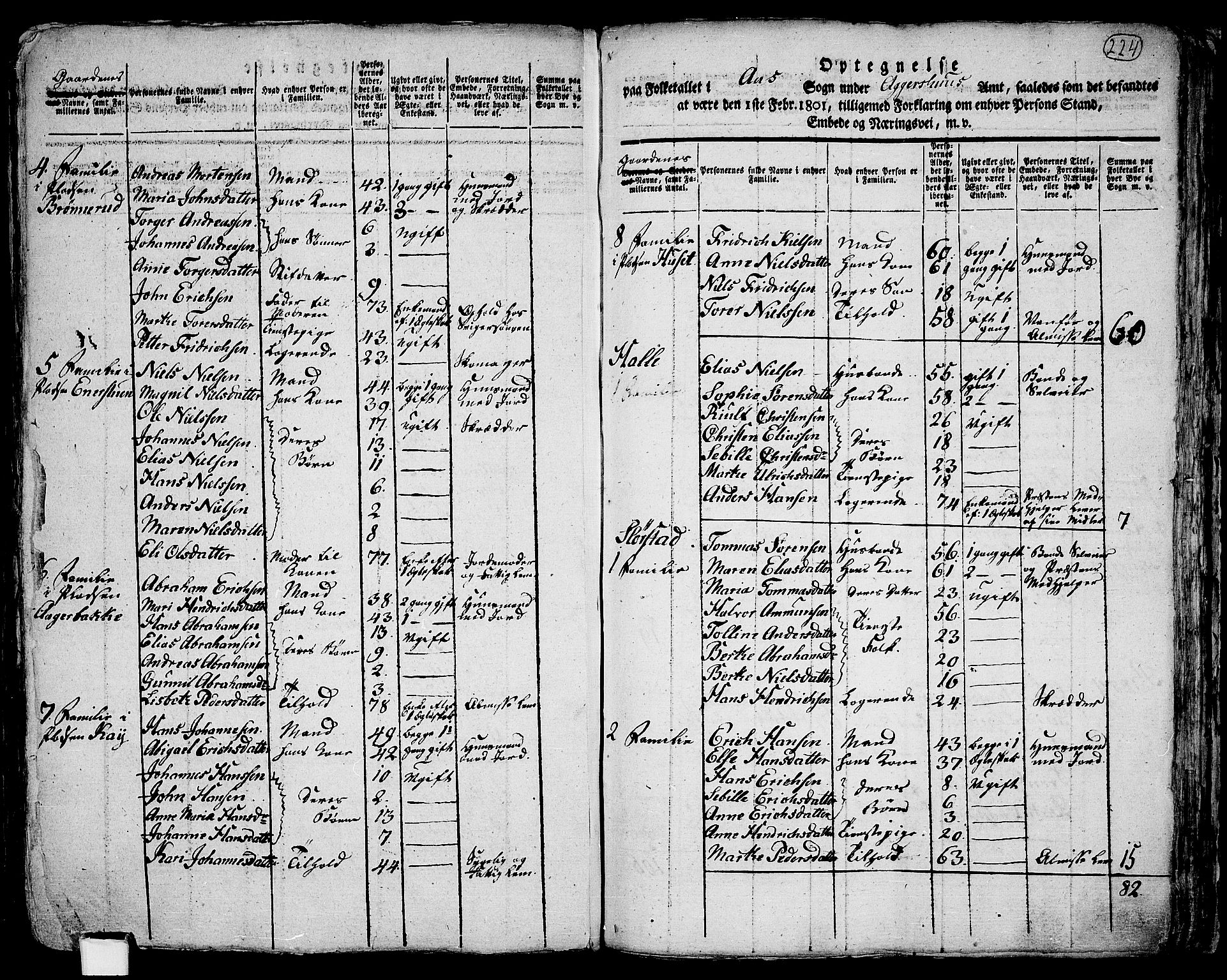 RA, 1801 census for 0214P Ås, 1801, p. 223b-224a