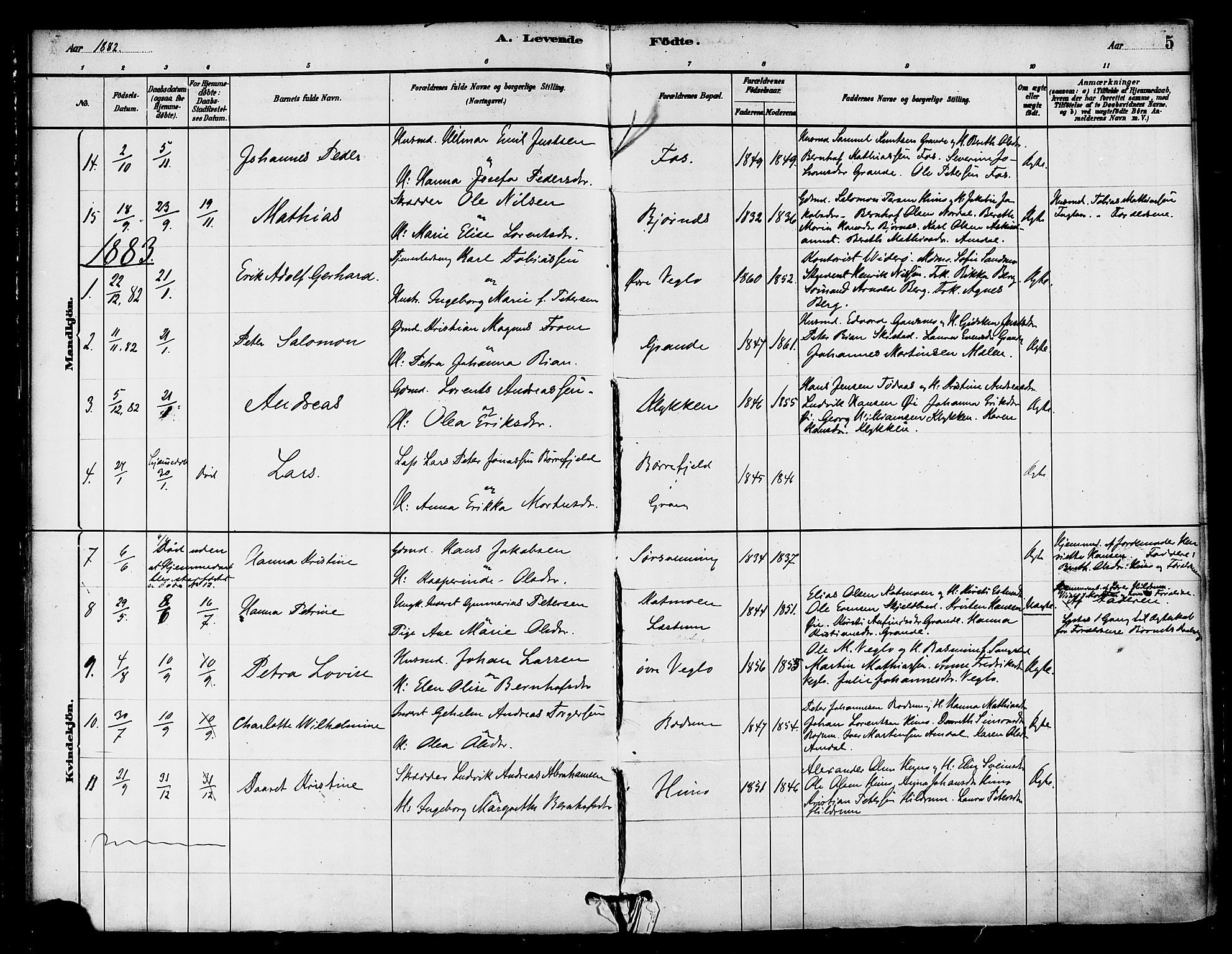 Ministerialprotokoller, klokkerbøker og fødselsregistre - Nord-Trøndelag, AV/SAT-A-1458/764/L0555: Parish register (official) no. 764A10, 1881-1896, p. 5