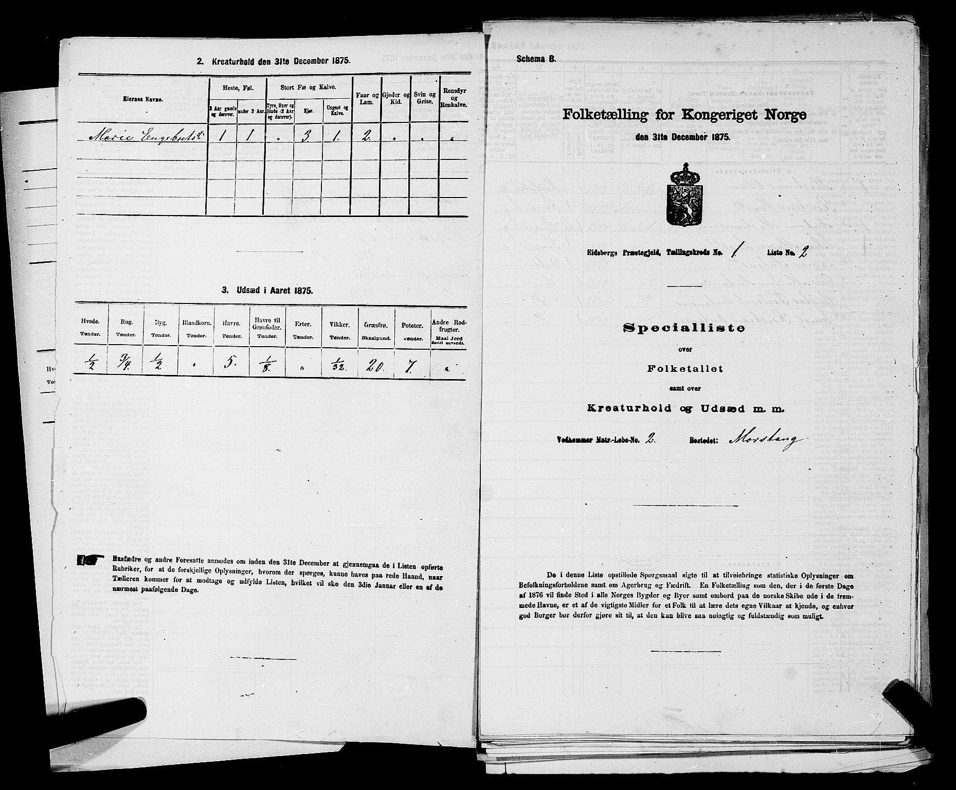 RA, 1875 census for 0125P Eidsberg, 1875, p. 53