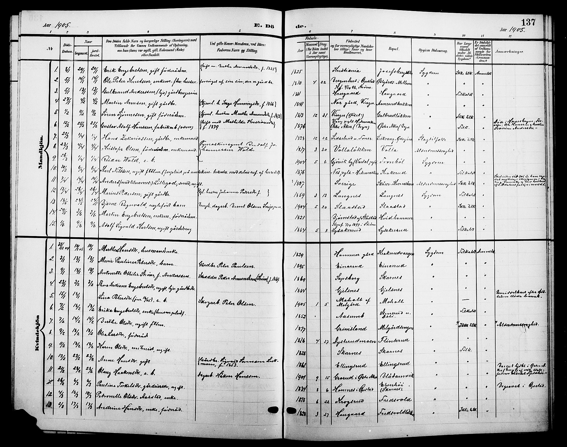 Sør-Odal prestekontor, SAH/PREST-030/H/Ha/Hab/L0005: Parish register (copy) no. 5, 1903-1915, p. 137