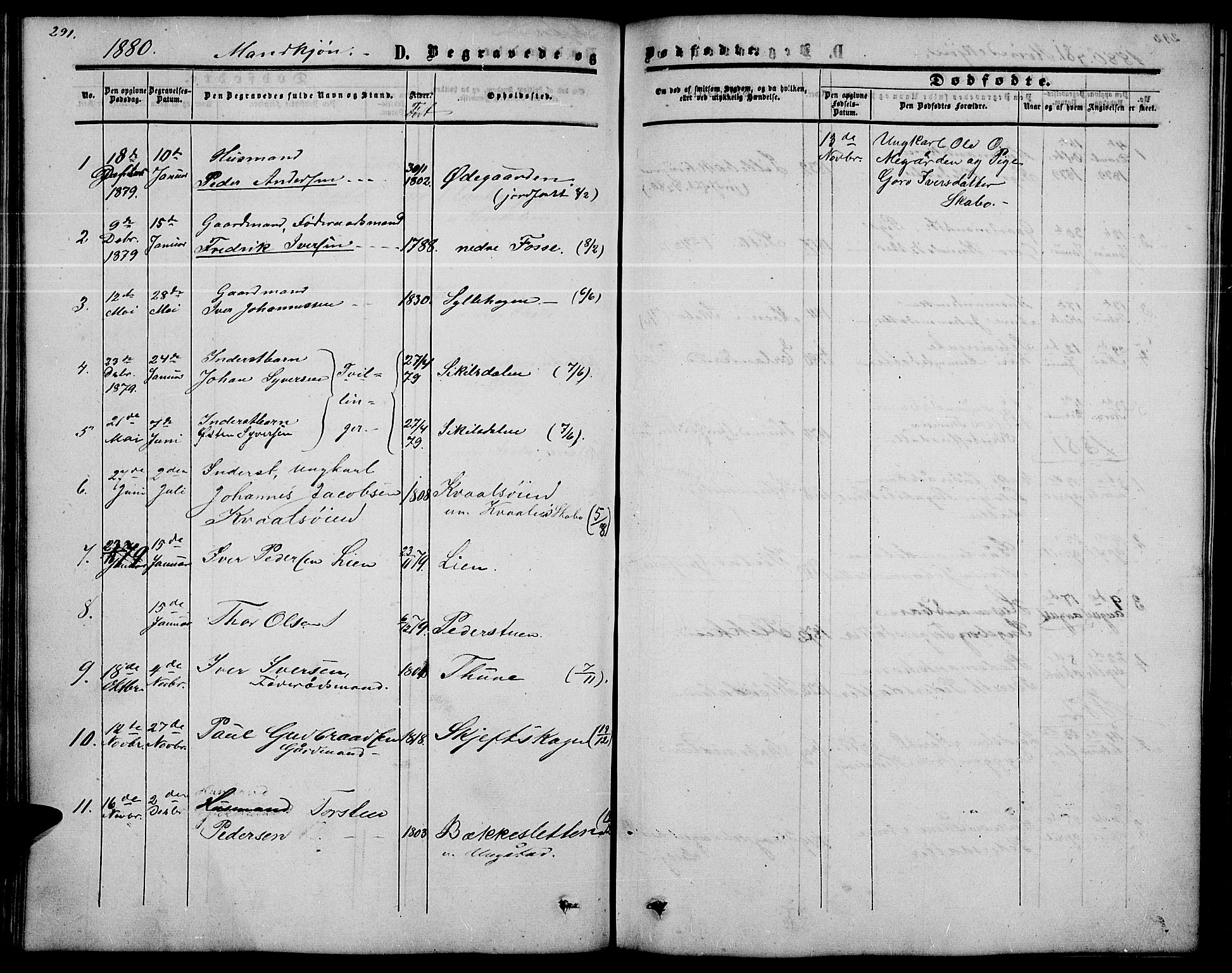 Nord-Fron prestekontor, AV/SAH-PREST-080/H/Ha/Hab/L0002: Parish register (copy) no. 2, 1851-1883, p. 291