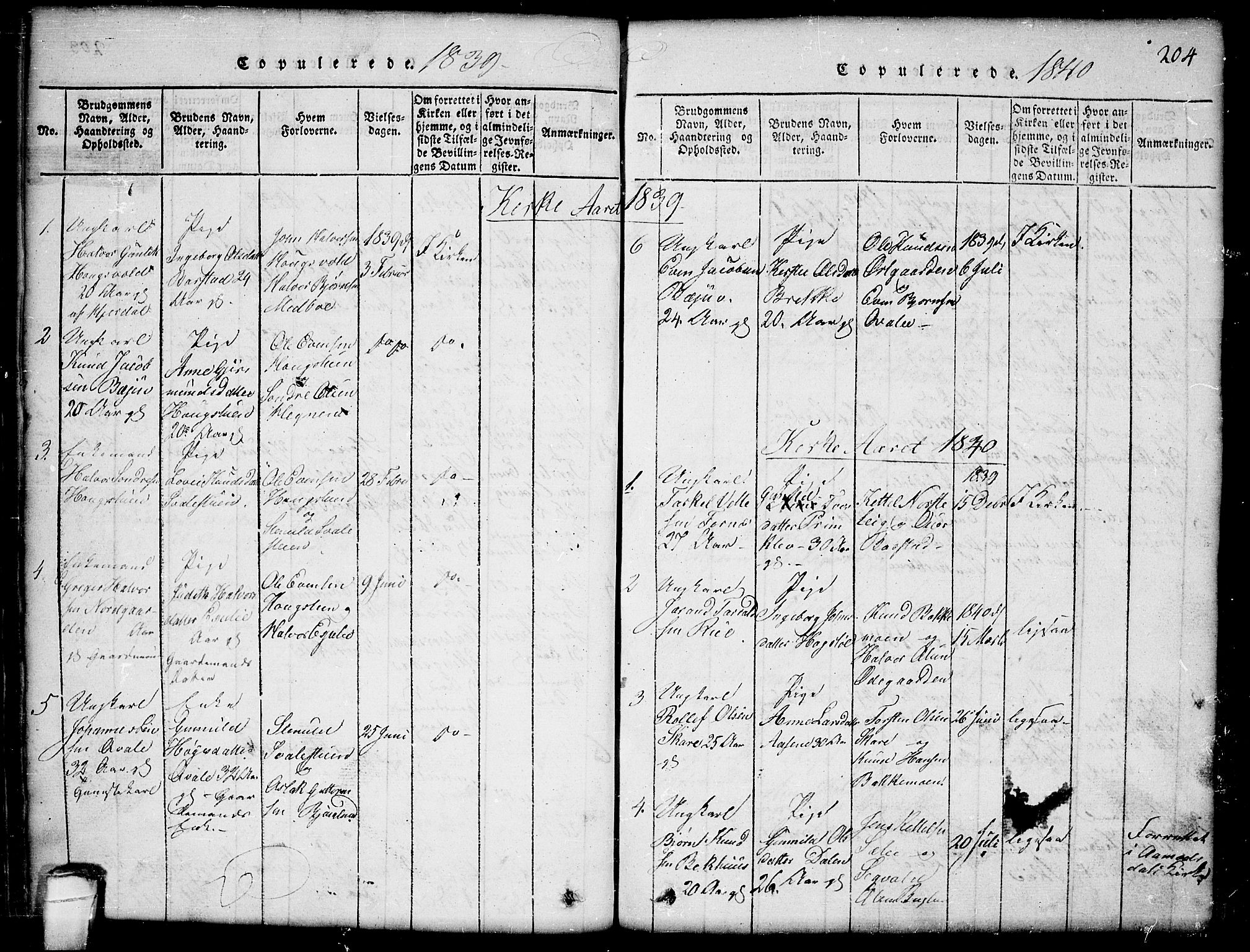 Seljord kirkebøker, SAKO/A-20/G/Gb/L0002: Parish register (copy) no. II 2, 1815-1854, p. 204