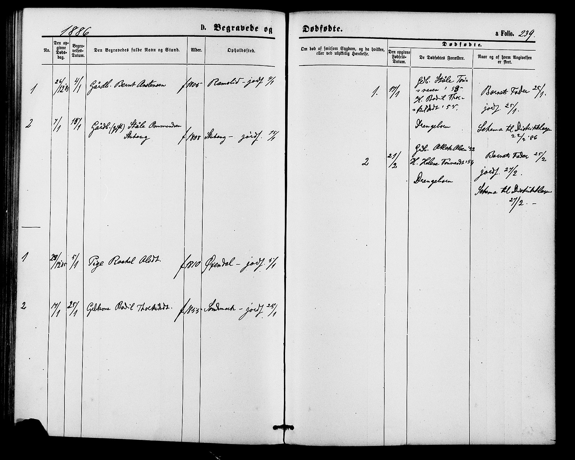 Bakke sokneprestkontor, AV/SAK-1111-0002/F/Fa/Faa/L0007: Parish register (official) no. A 7, 1877-1886, p. 239