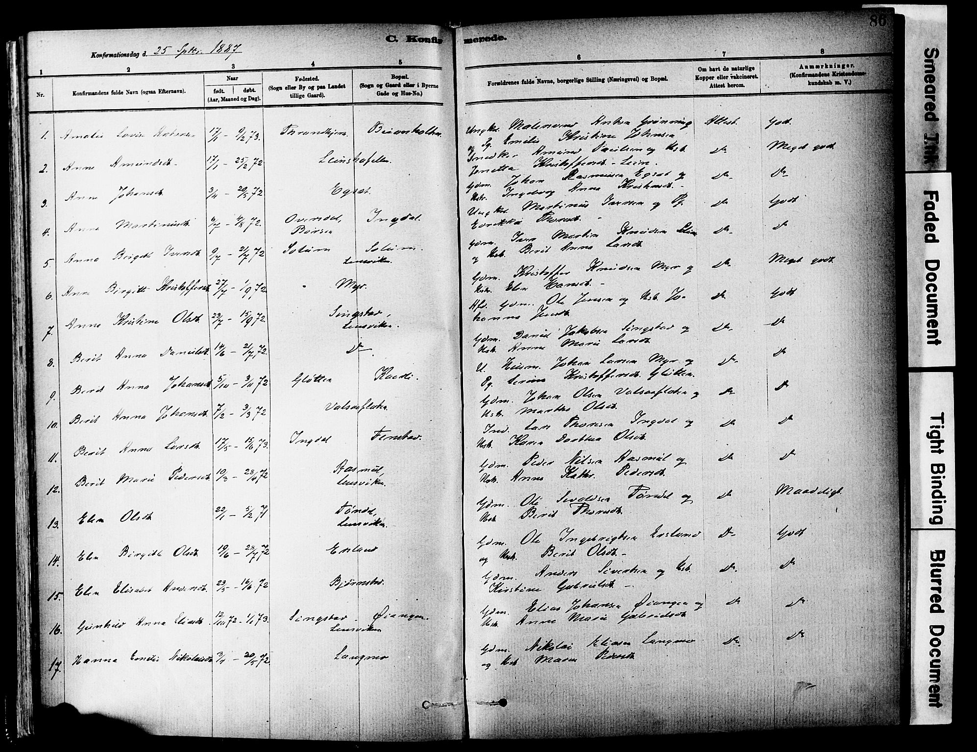 Ministerialprotokoller, klokkerbøker og fødselsregistre - Sør-Trøndelag, SAT/A-1456/646/L0615: Parish register (official) no. 646A13, 1885-1900, p. 86