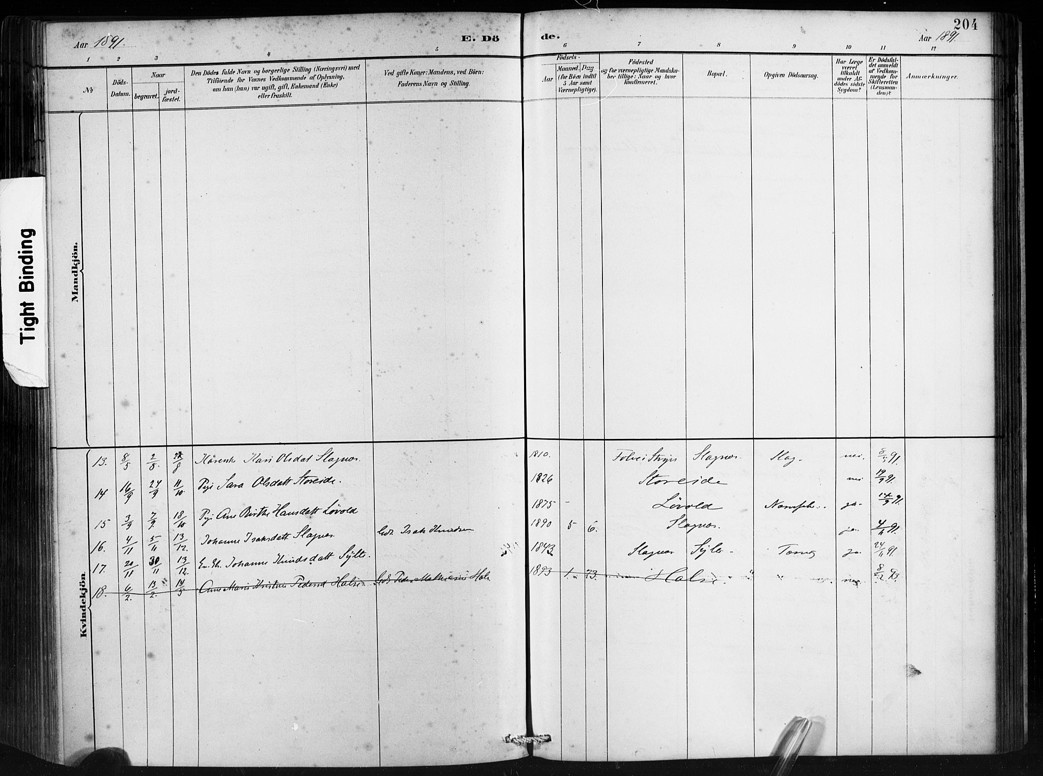 Ministerialprotokoller, klokkerbøker og fødselsregistre - Møre og Romsdal, SAT/A-1454/501/L0008: Parish register (official) no. 501A08, 1885-1901, p. 204
