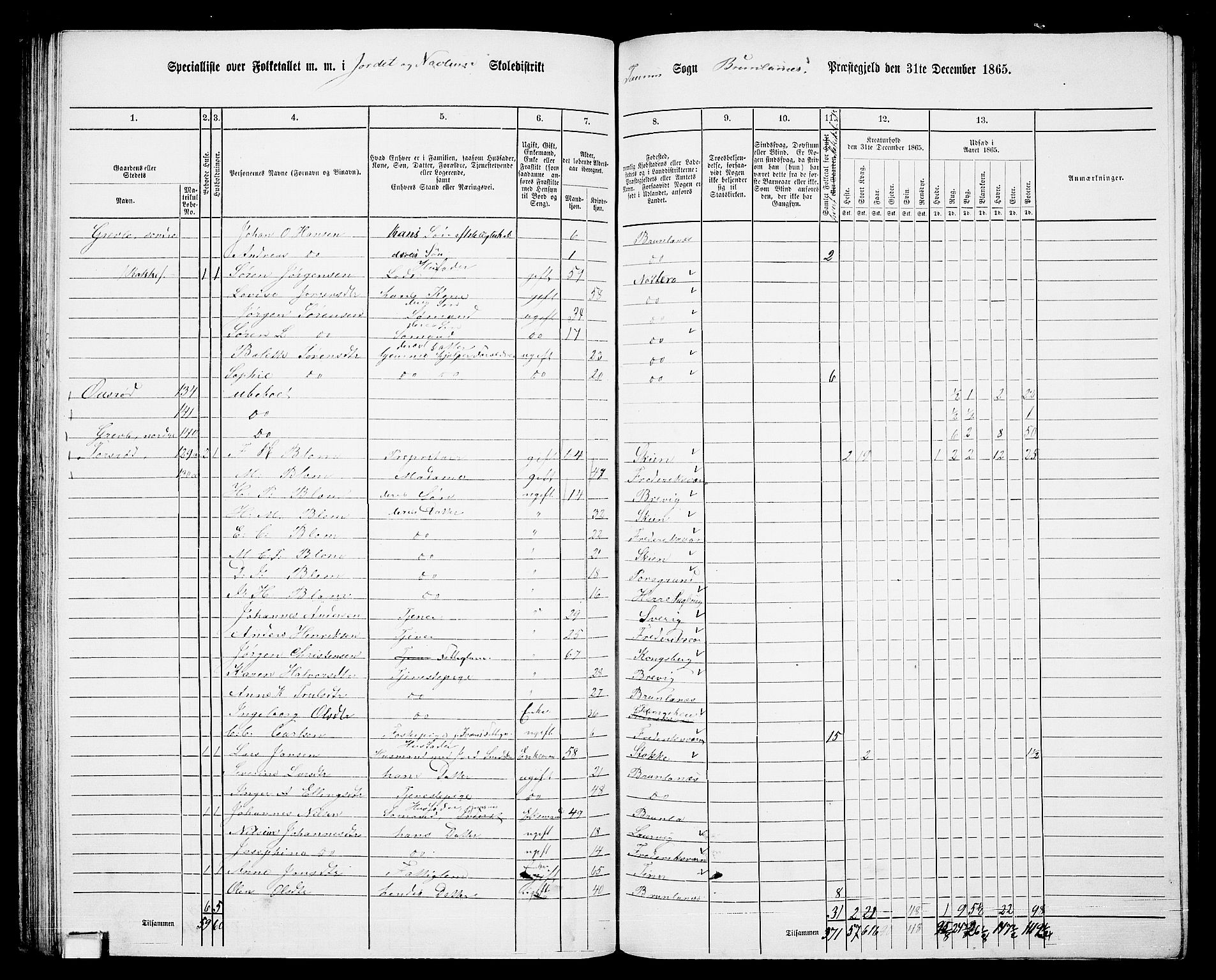 RA, 1865 census for Brunlanes, 1865, p. 80