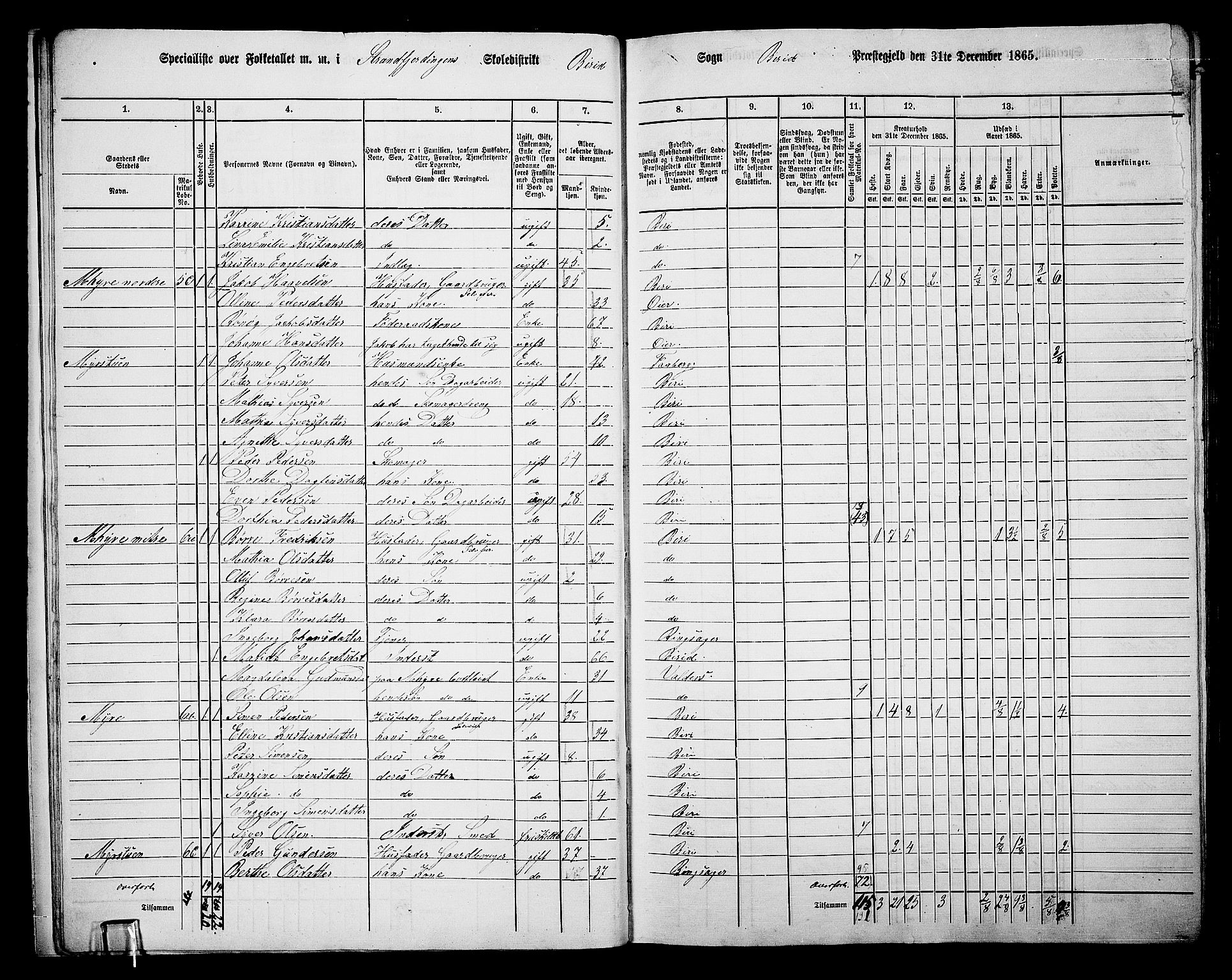 RA, 1865 census for Biri, 1865, p. 15