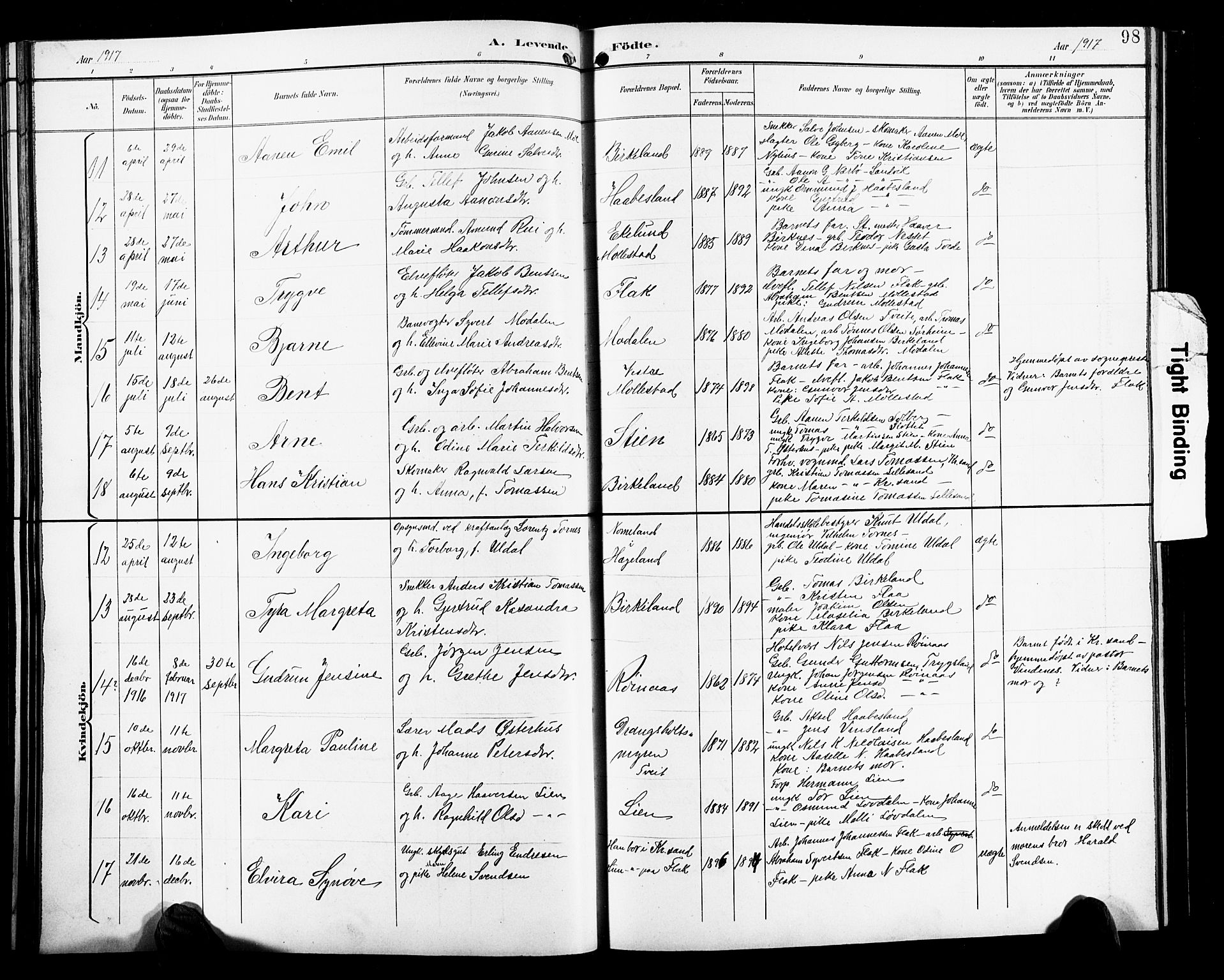 Birkenes sokneprestkontor, SAK/1111-0004/F/Fb/L0004: Parish register (copy) no. B 4, 1893-1930, p. 98