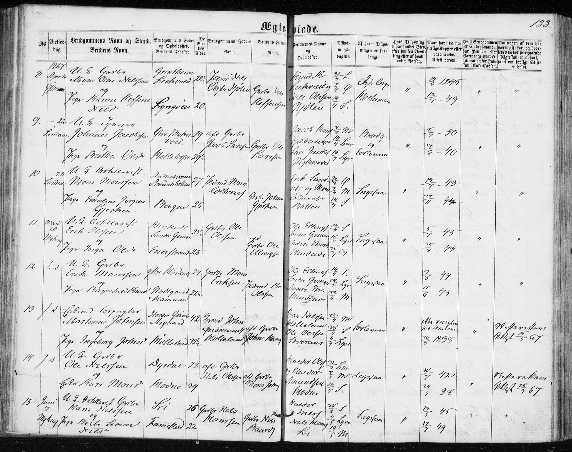 Lindås Sokneprestembete, SAB/A-76701/H/Haa: Parish register (official) no. A 16, 1863-1875, p. 133