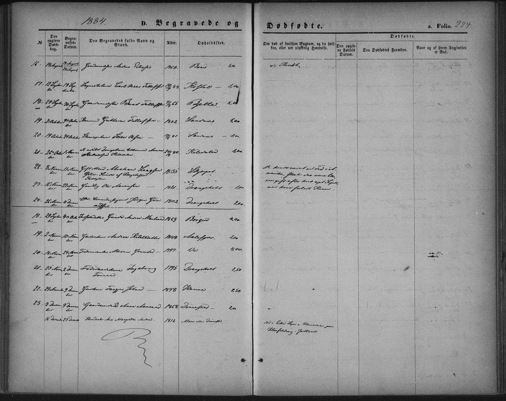 Tveit sokneprestkontor, AV/SAK-1111-0043/F/Fa/L0006: Parish register (official) no. A 6, 1872-1886, p. 224