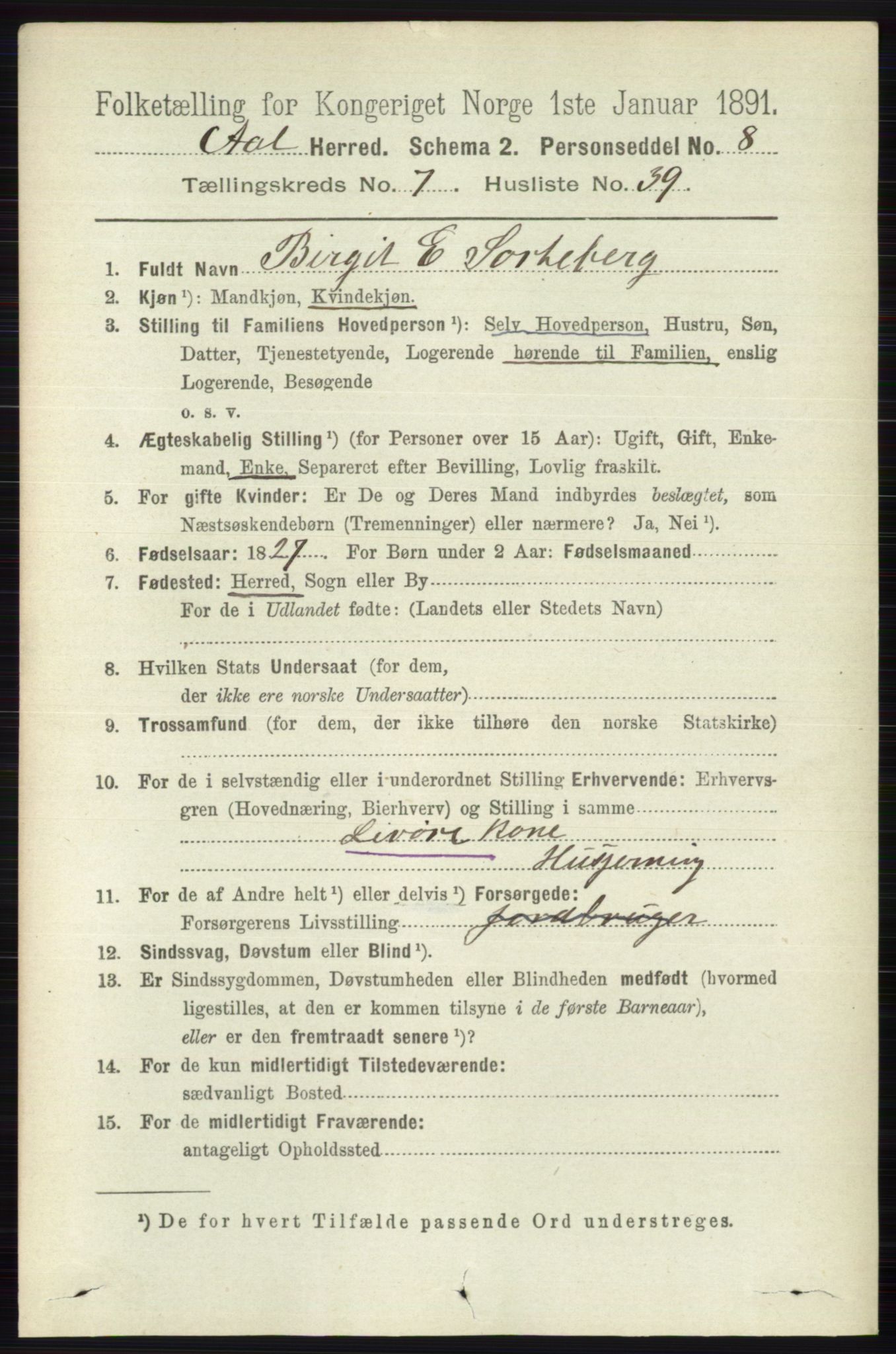 RA, 1891 census for 0619 Ål, 1891, p. 2003