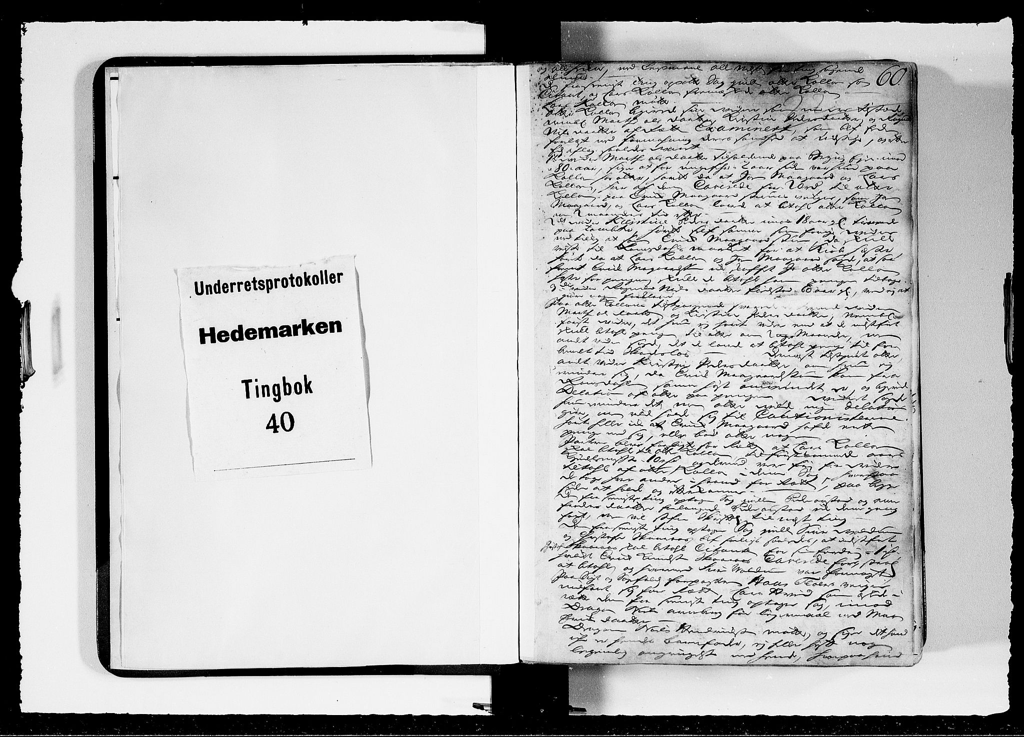 Hedemarken sorenskriveri, SAH/TING-034/G/Gb/L0041: Tingbok, 1727-1729, p. 59b-60a