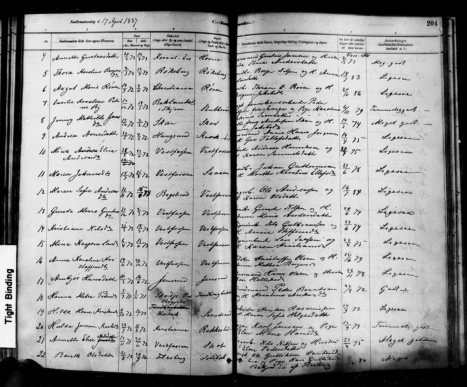 Eiker kirkebøker, AV/SAKO-A-4/F/Fb/L0001: Parish register (official) no. II 1, 1878-1888, p. 204