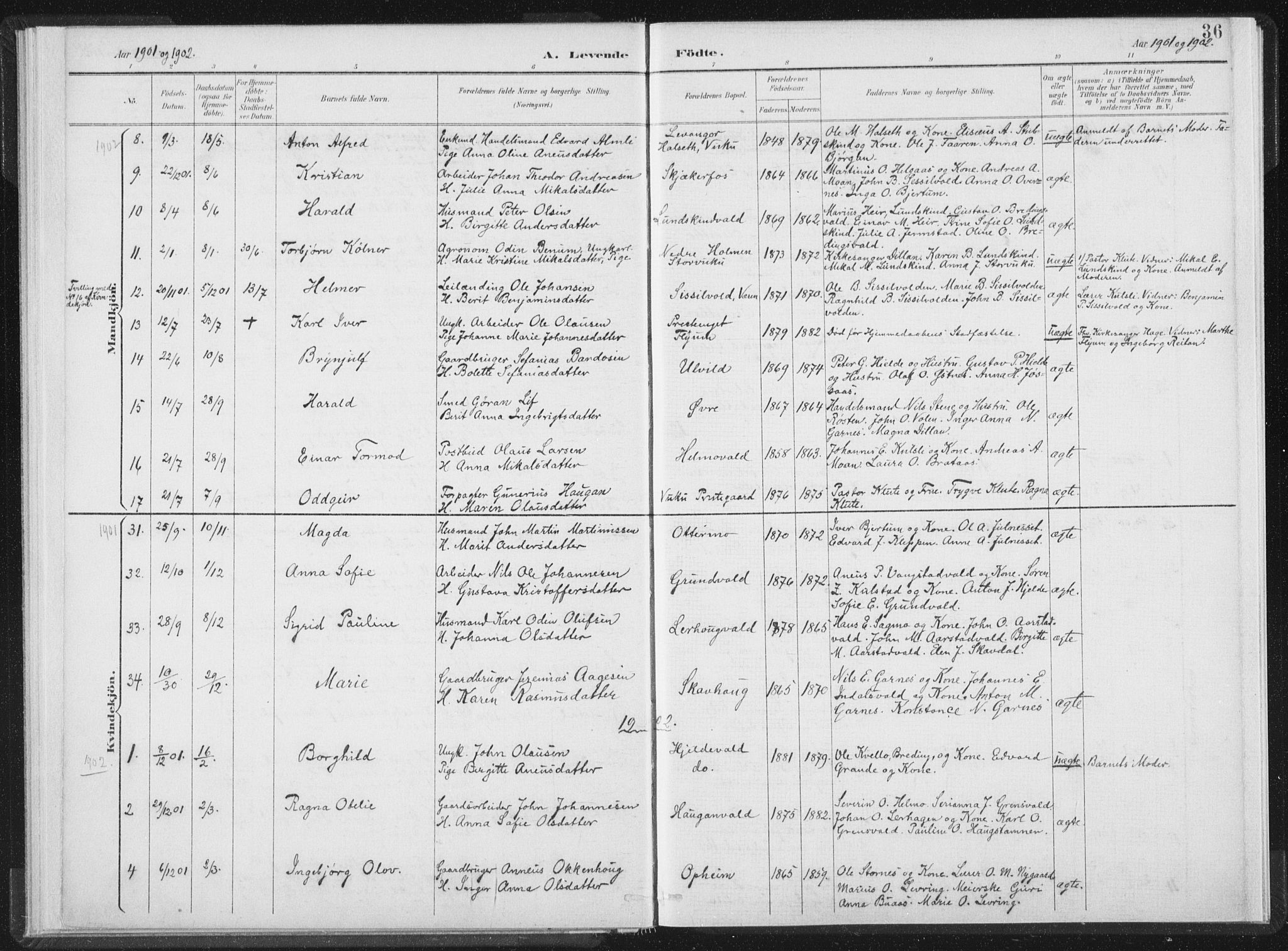 Ministerialprotokoller, klokkerbøker og fødselsregistre - Nord-Trøndelag, SAT/A-1458/724/L0263: Parish register (official) no. 724A01, 1891-1907, p. 36