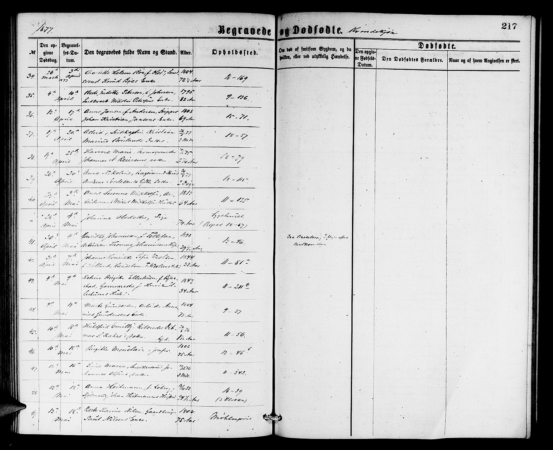 Domkirken sokneprestembete, AV/SAB-A-74801/H/Hab/L0040: Parish register (copy) no. E 4, 1868-1877, p. 217