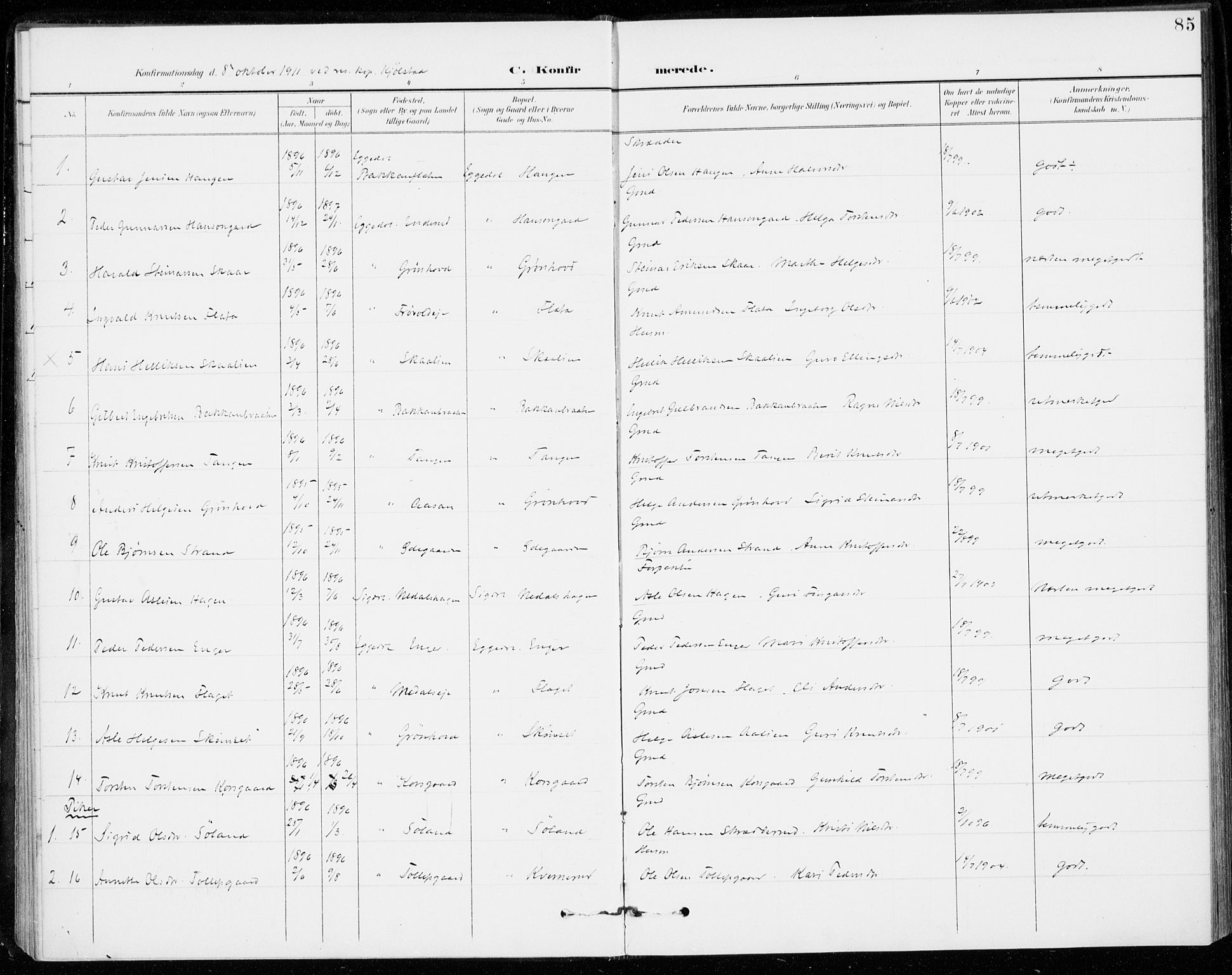 Sigdal kirkebøker, SAKO/A-245/F/Fc/L0002: Parish register (official) no. III 2, 1894-1911, p. 85