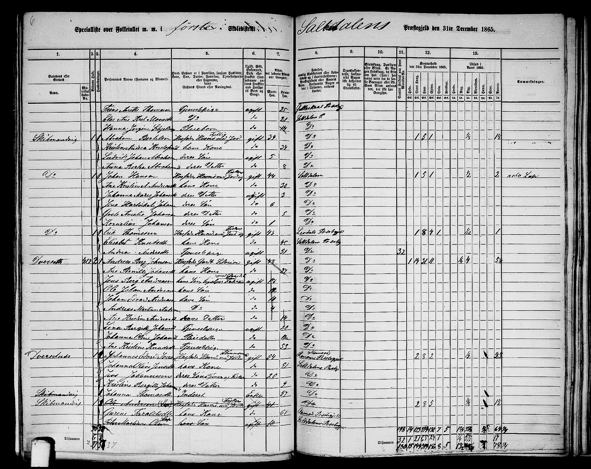 RA, 1865 census for Saltdal, 1865, p. 11