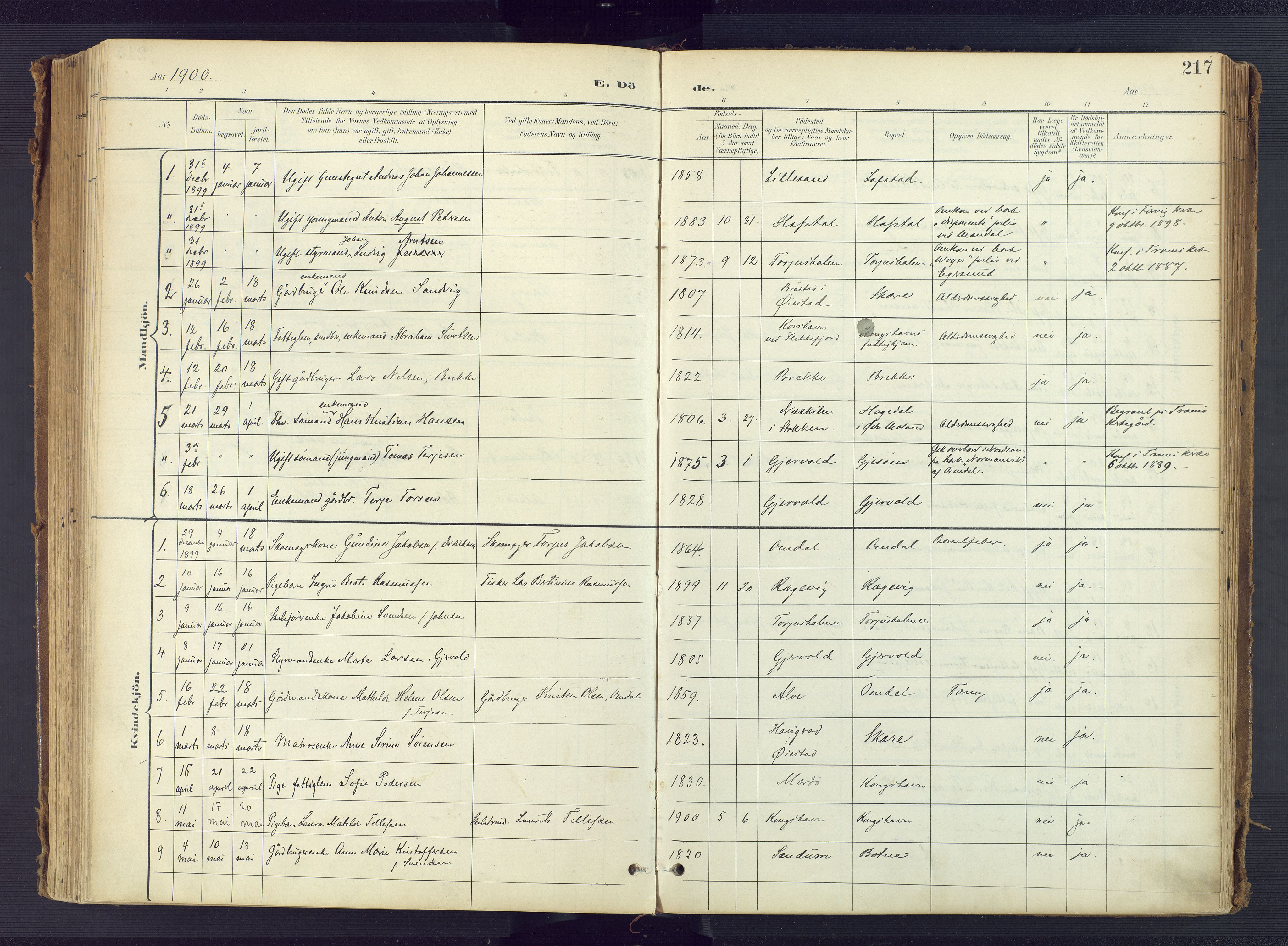 Tromøy sokneprestkontor, AV/SAK-1111-0041/F/Fa/L0010: Parish register (official) no. A 10, 1896-1912, p. 217