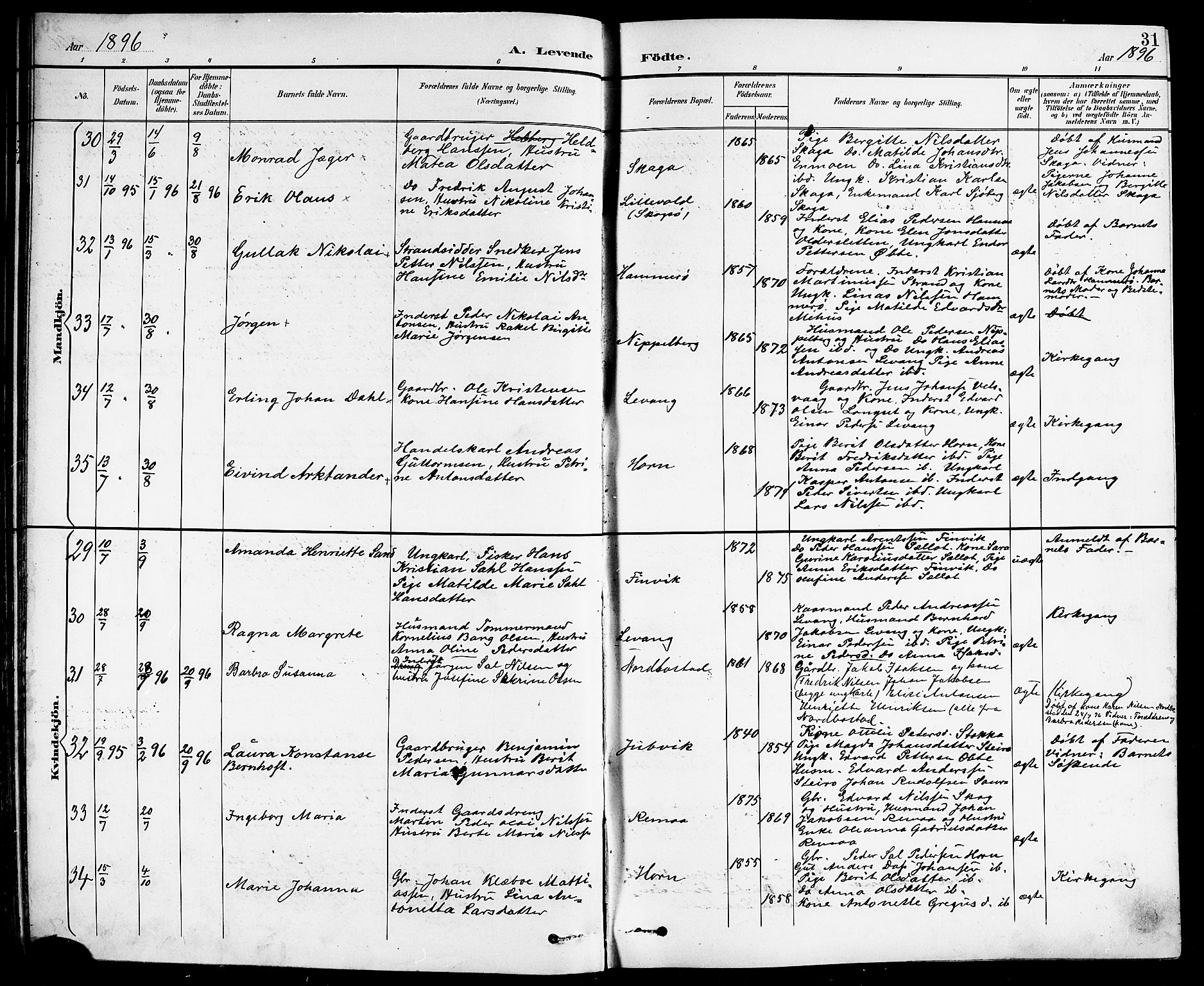 Ministerialprotokoller, klokkerbøker og fødselsregistre - Nordland, AV/SAT-A-1459/838/L0559: Parish register (copy) no. 838C06, 1893-1910, p. 31