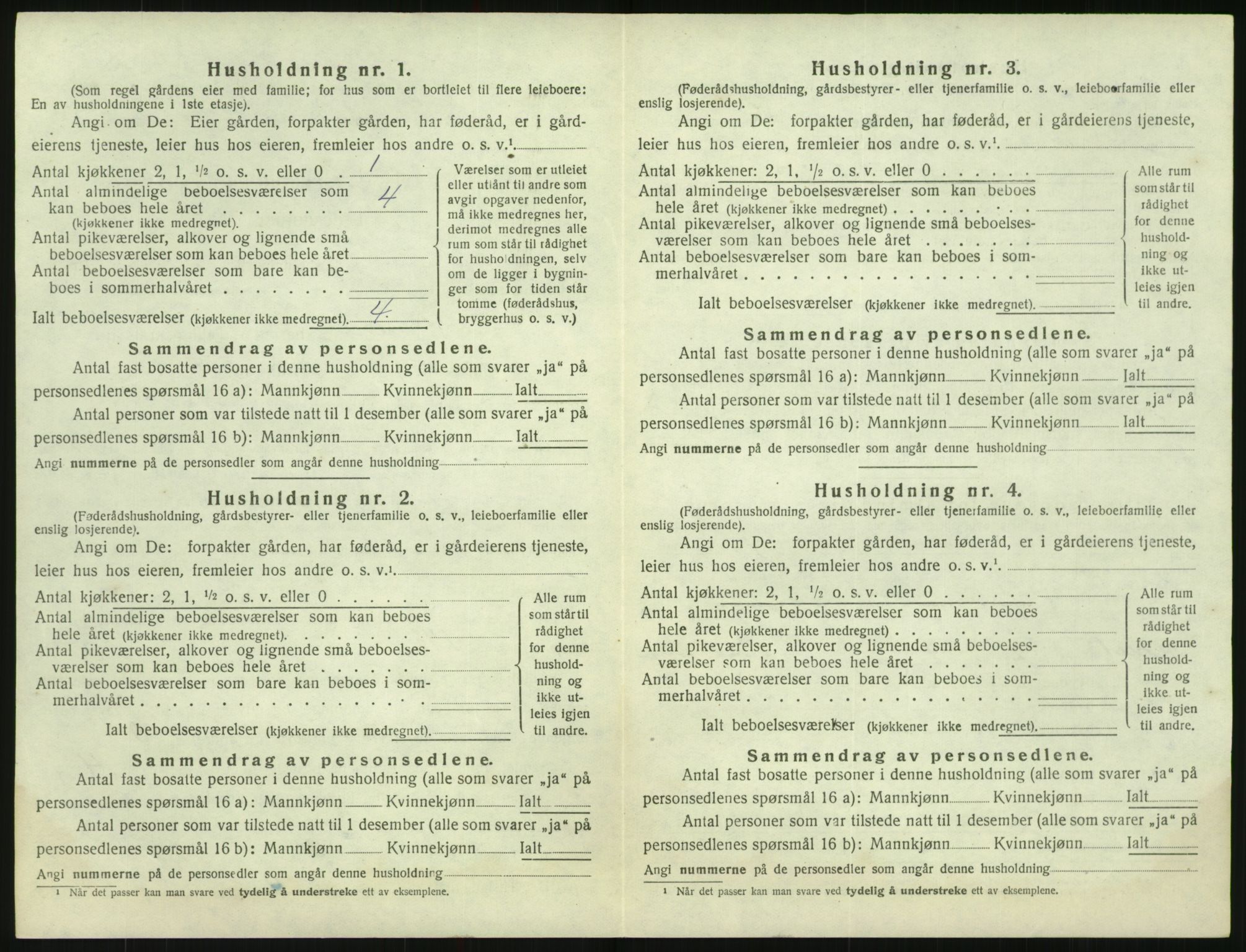 SAK, 1920 census for Hornnes, 1920, p. 234