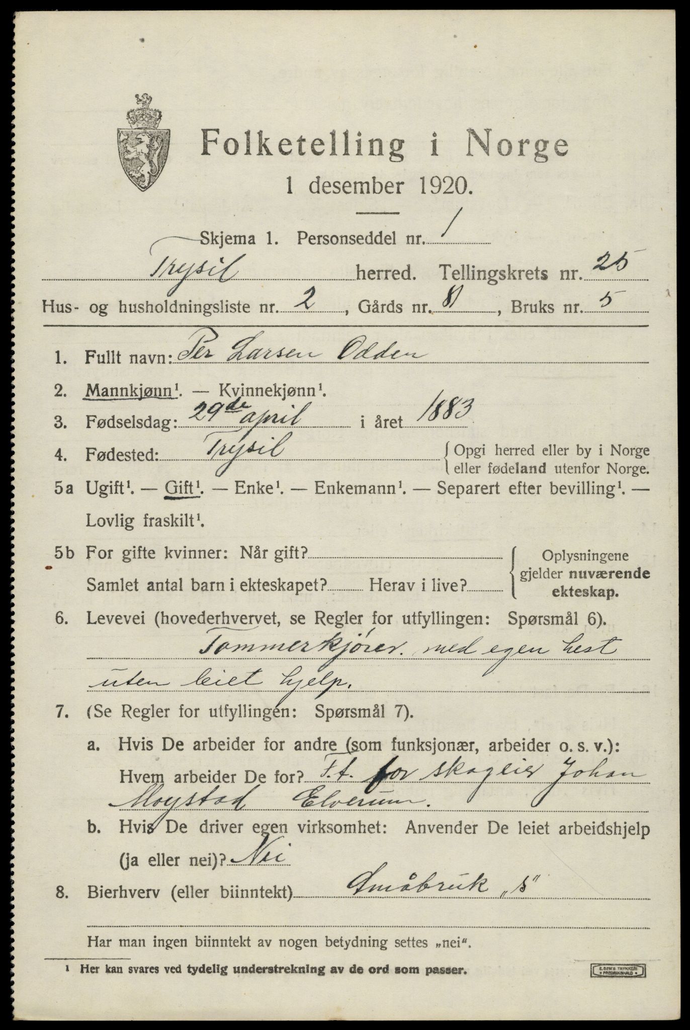 SAH, 1920 census for Trysil, 1920, p. 15697