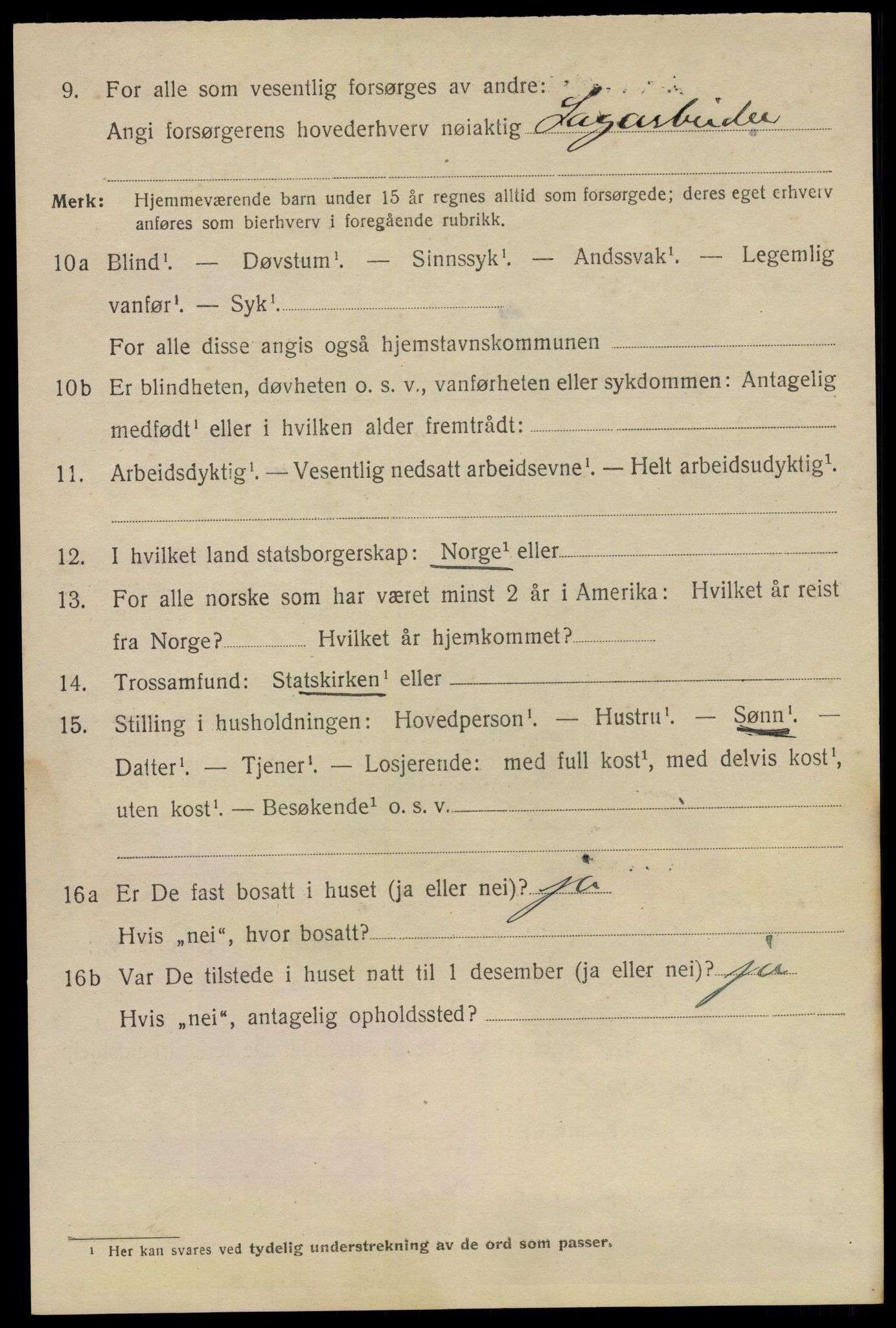 SAKO, 1920 census for Larvik, 1920, p. 29293