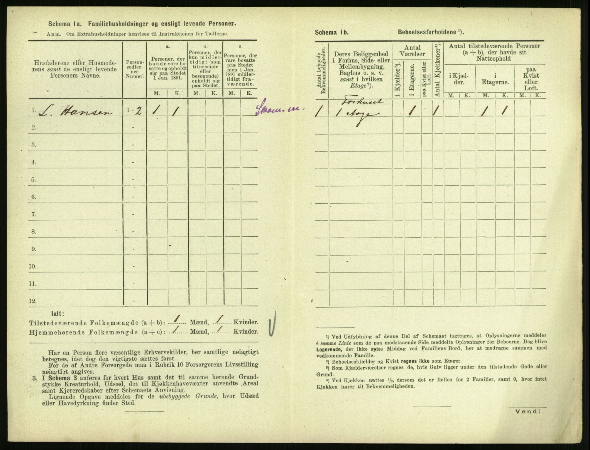 RA, 1891 census for 0707 Larvik, 1891, p. 1128