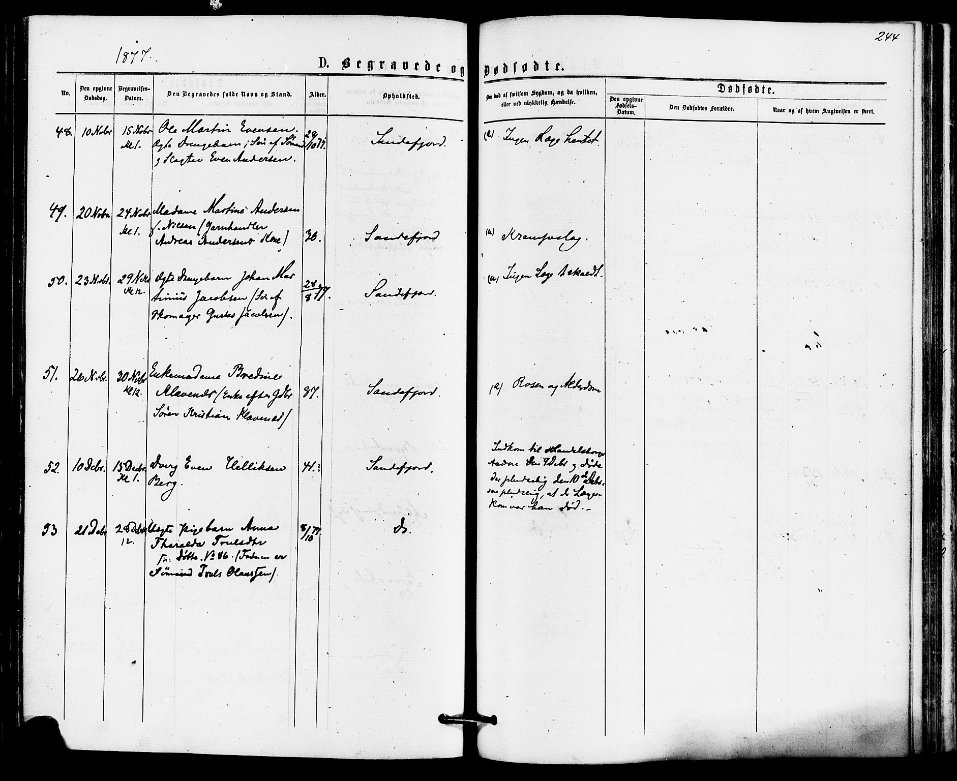 Sandefjord kirkebøker, AV/SAKO-A-315/F/Fa/L0001: Parish register (official) no. 1, 1873-1879, p. 244