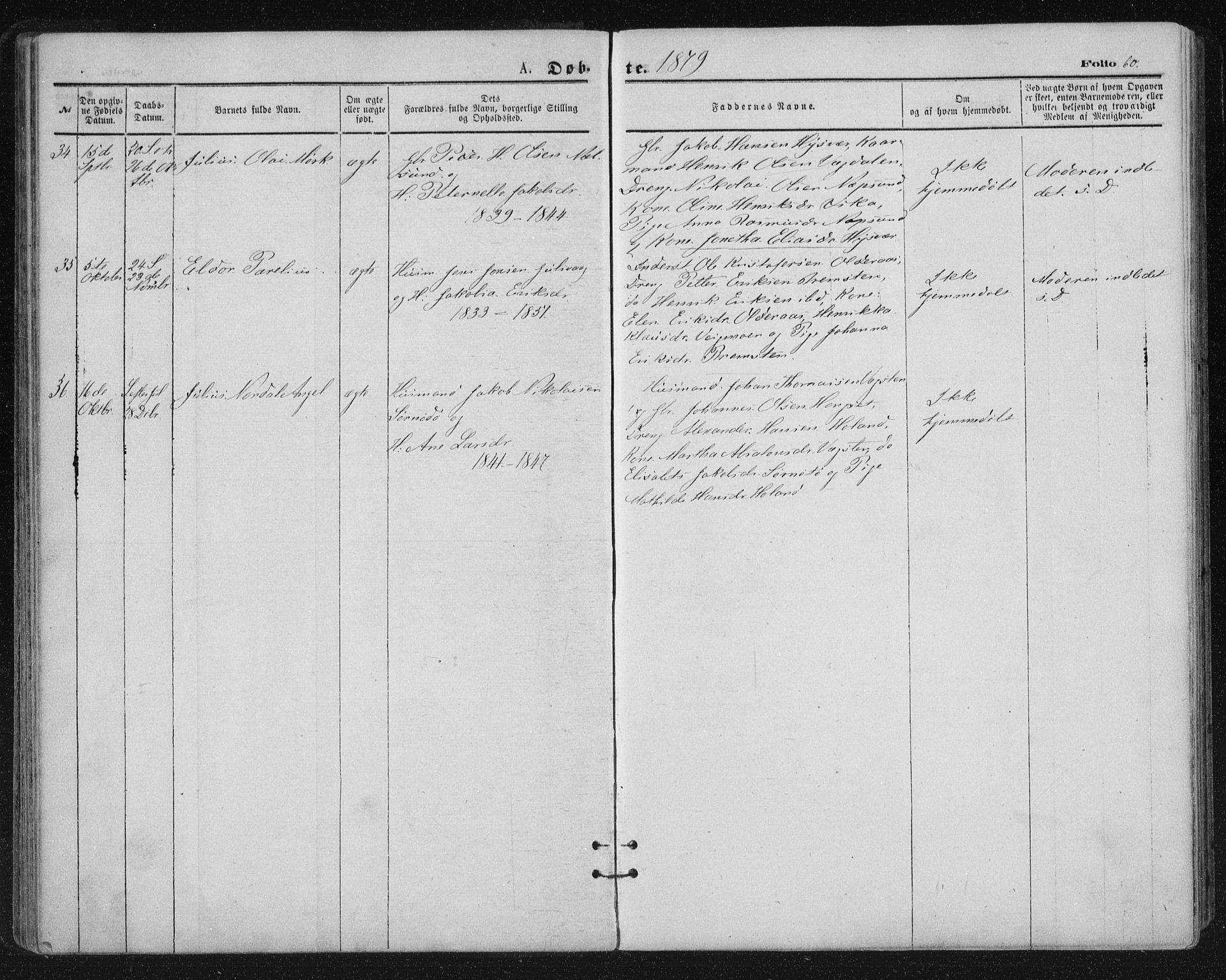 Ministerialprotokoller, klokkerbøker og fødselsregistre - Nordland, SAT/A-1459/816/L0241: Parish register (official) no. 816A07, 1870-1885, p. 60