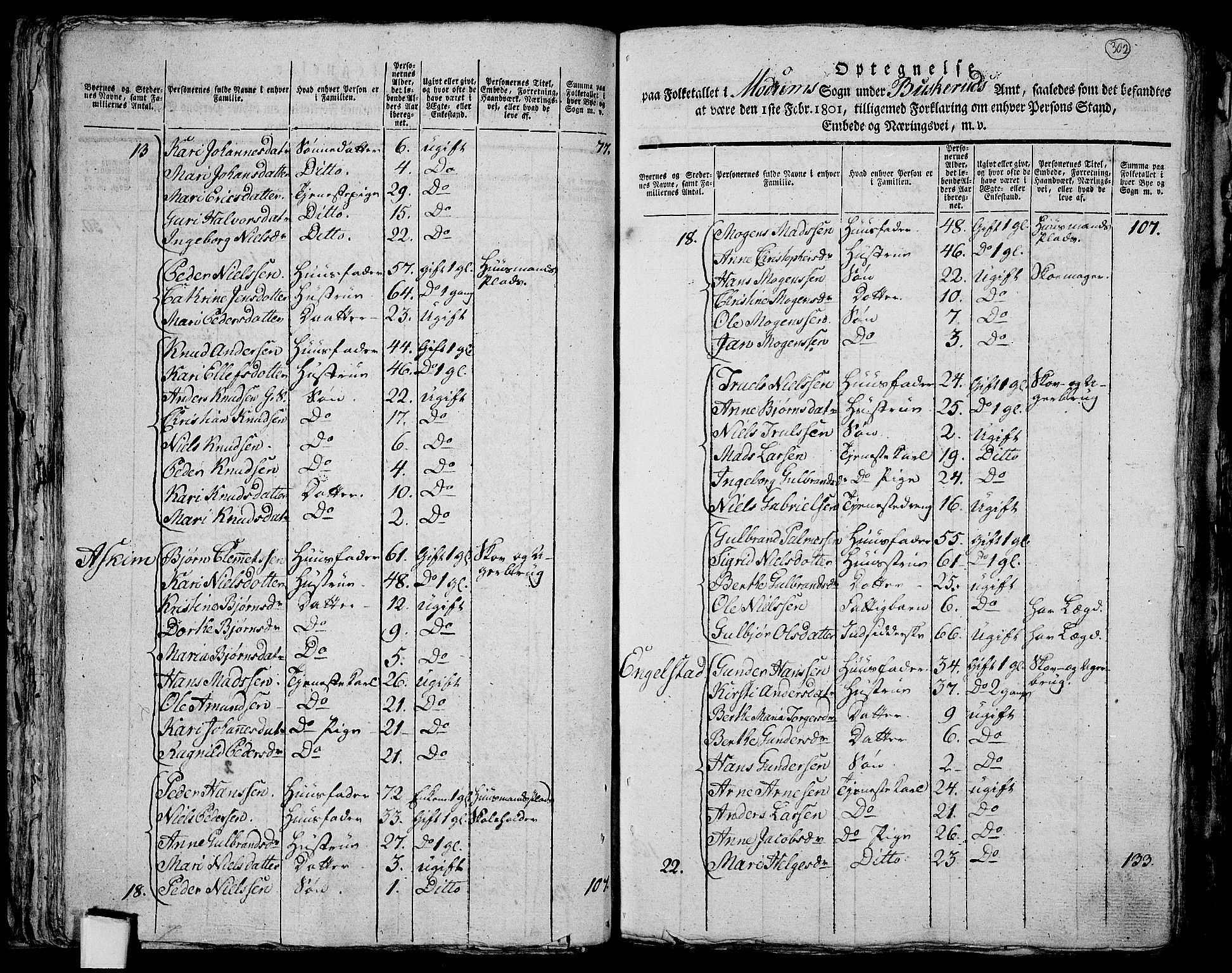 RA, 1801 census for 0623P Modum, 1801, p. 301b-302a