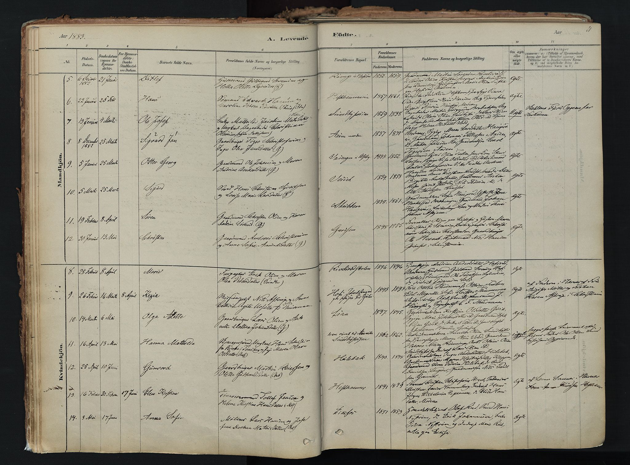 Hof kirkebøker, SAKO/A-64/F/Fa/L0007: Parish register (official) no. I 7, 1878-1940, p. 21