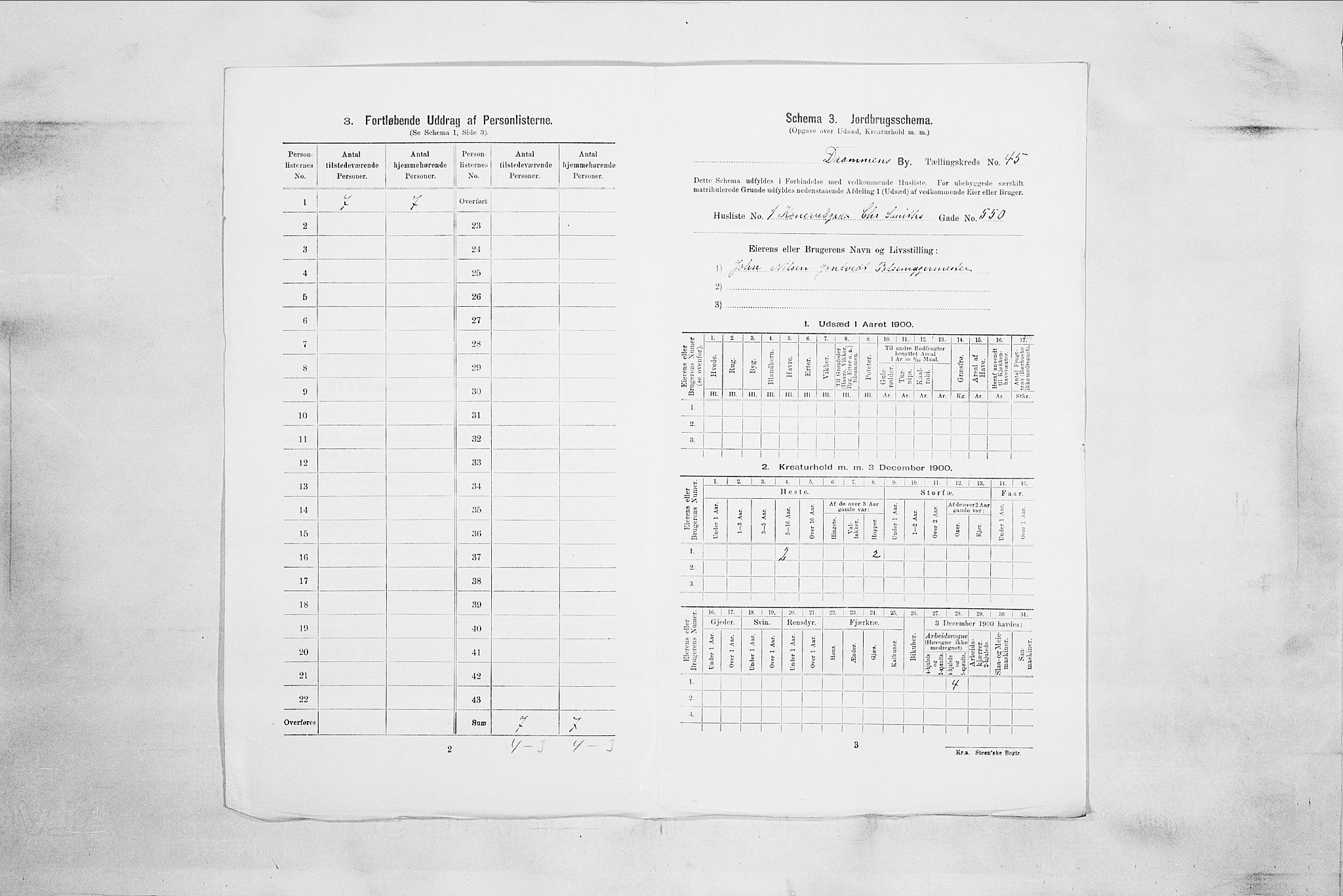 RA, 1900 census for Drammen, 1900, p. 7587