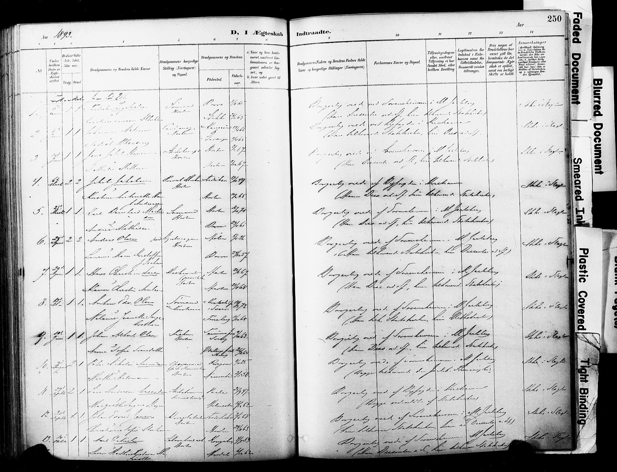 Horten kirkebøker, AV/SAKO-A-348/F/Fa/L0004: Parish register (official) no. 4, 1888-1895, p. 250