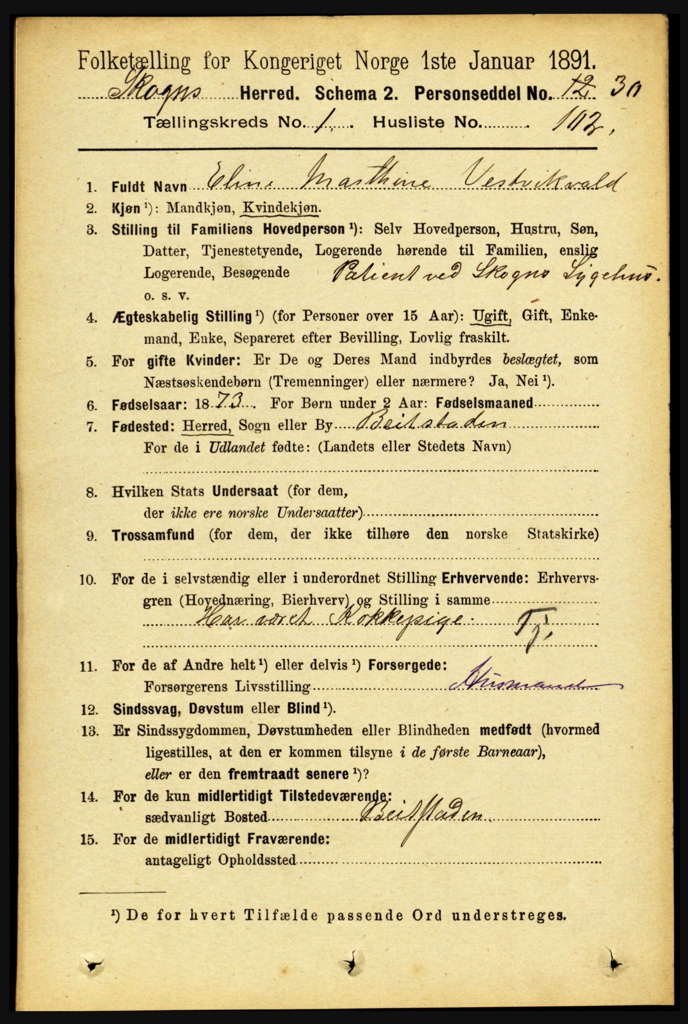 RA, 1891 census for 1719 Skogn, 1891, p. 745