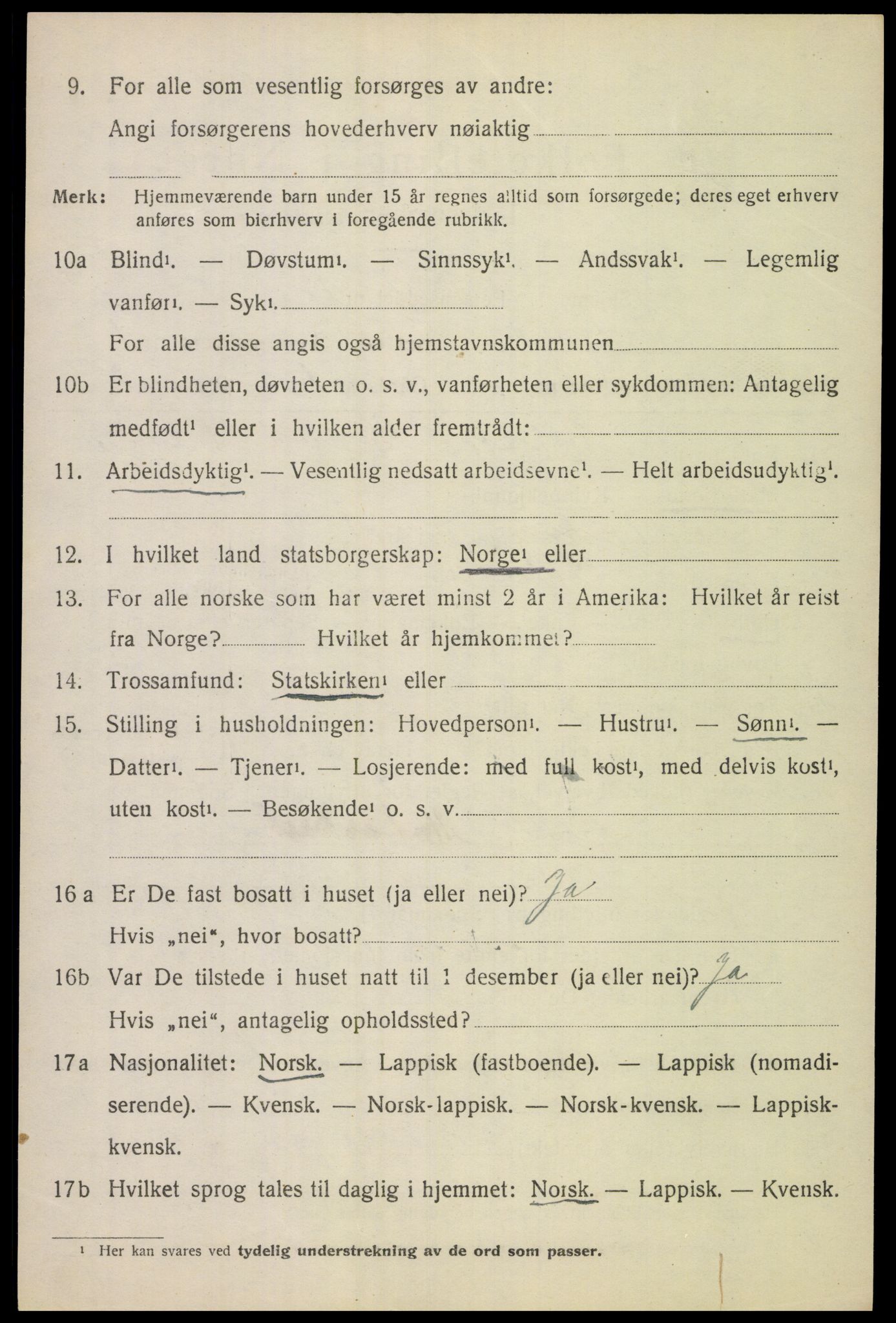 SAT, 1920 census for Tysfjord, 1920, p. 944