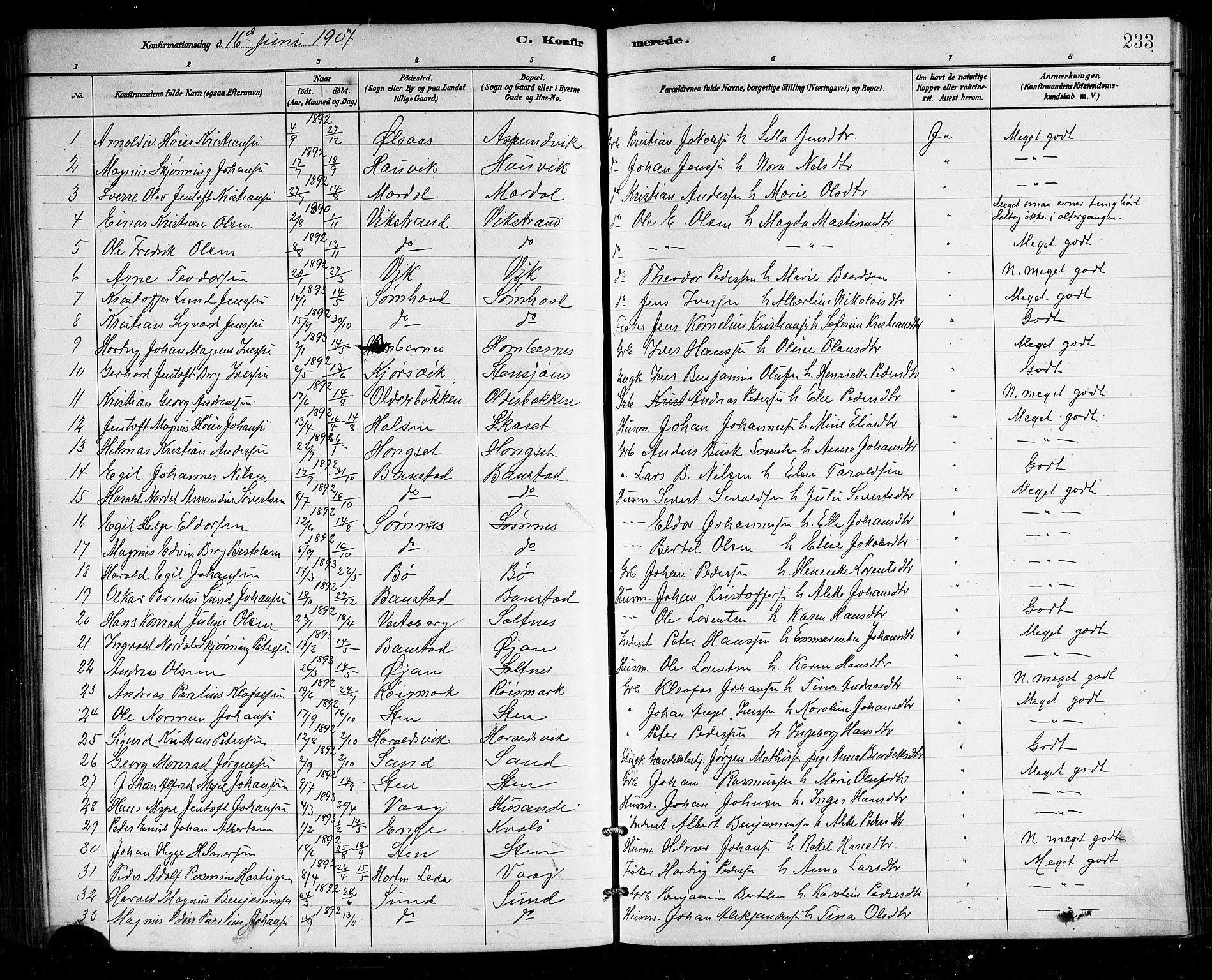 Ministerialprotokoller, klokkerbøker og fødselsregistre - Nordland, SAT/A-1459/812/L0188: Parish register (copy) no. 812C06, 1884-1912, p. 233