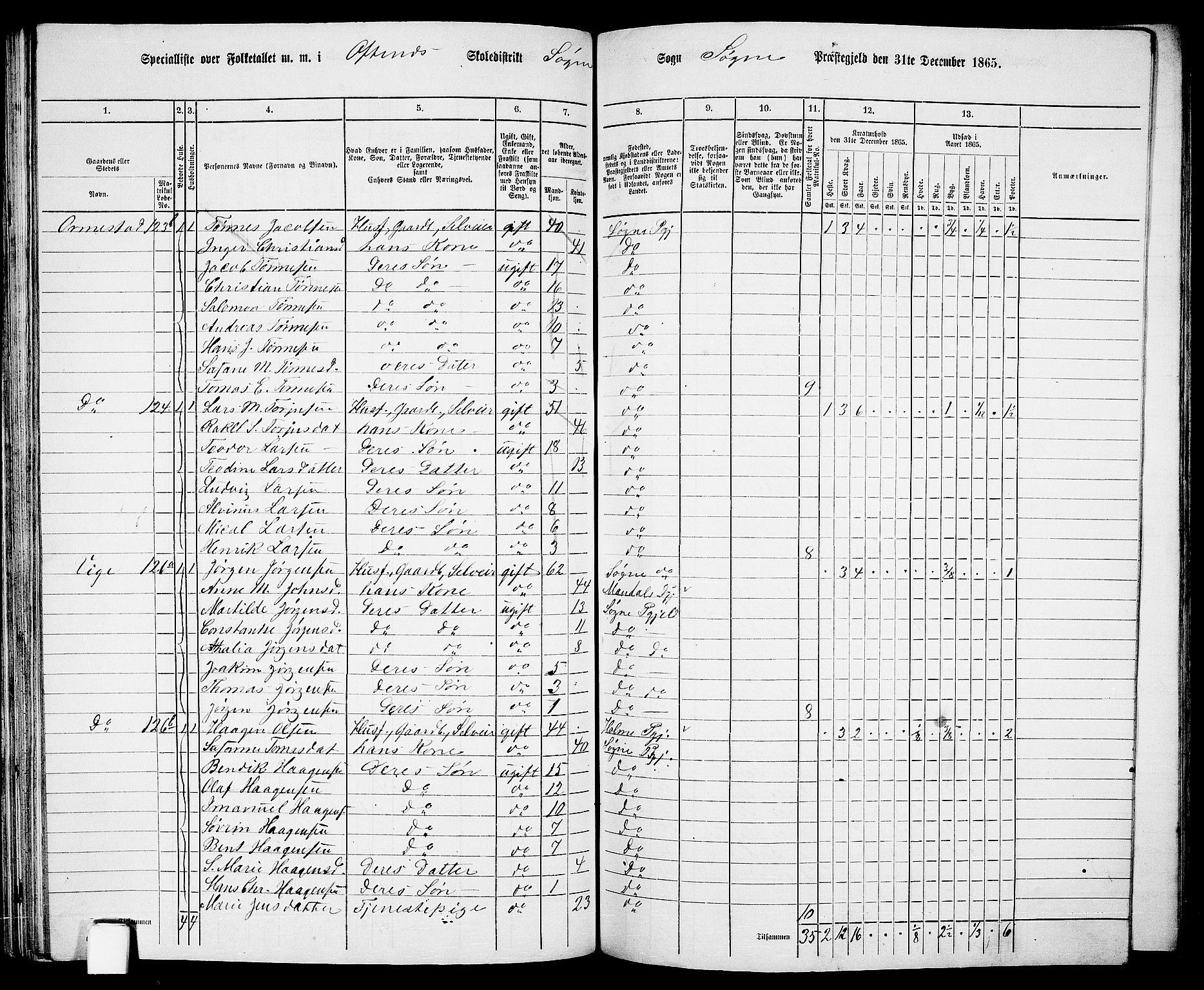 RA, 1865 census for Søgne, 1865, p. 82