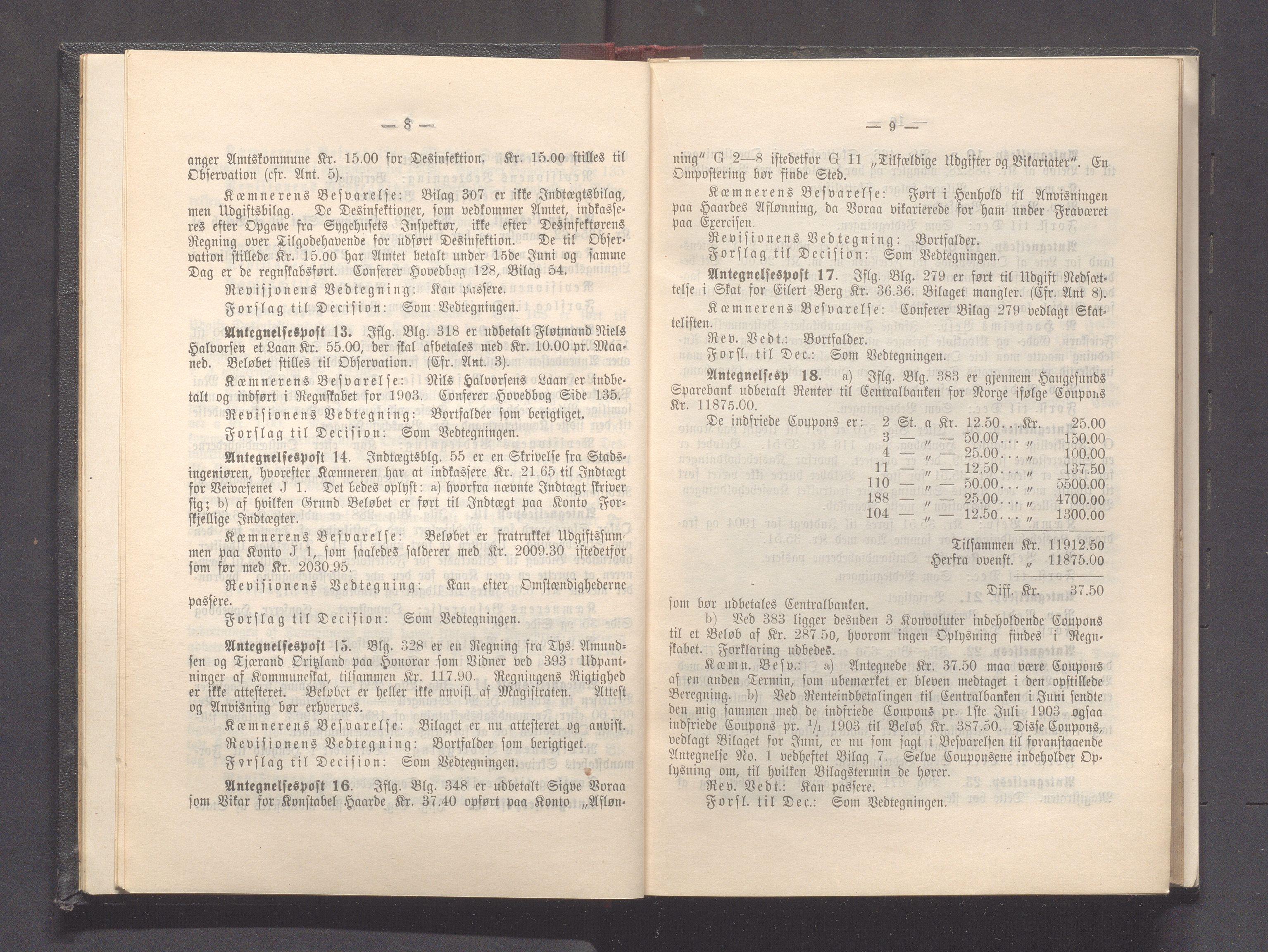 Haugesund kommune - Formannskapet og Bystyret, IKAR/A-740/A/Abb/L0001: Bystyreforhandlinger, 1889-1907, p. 562