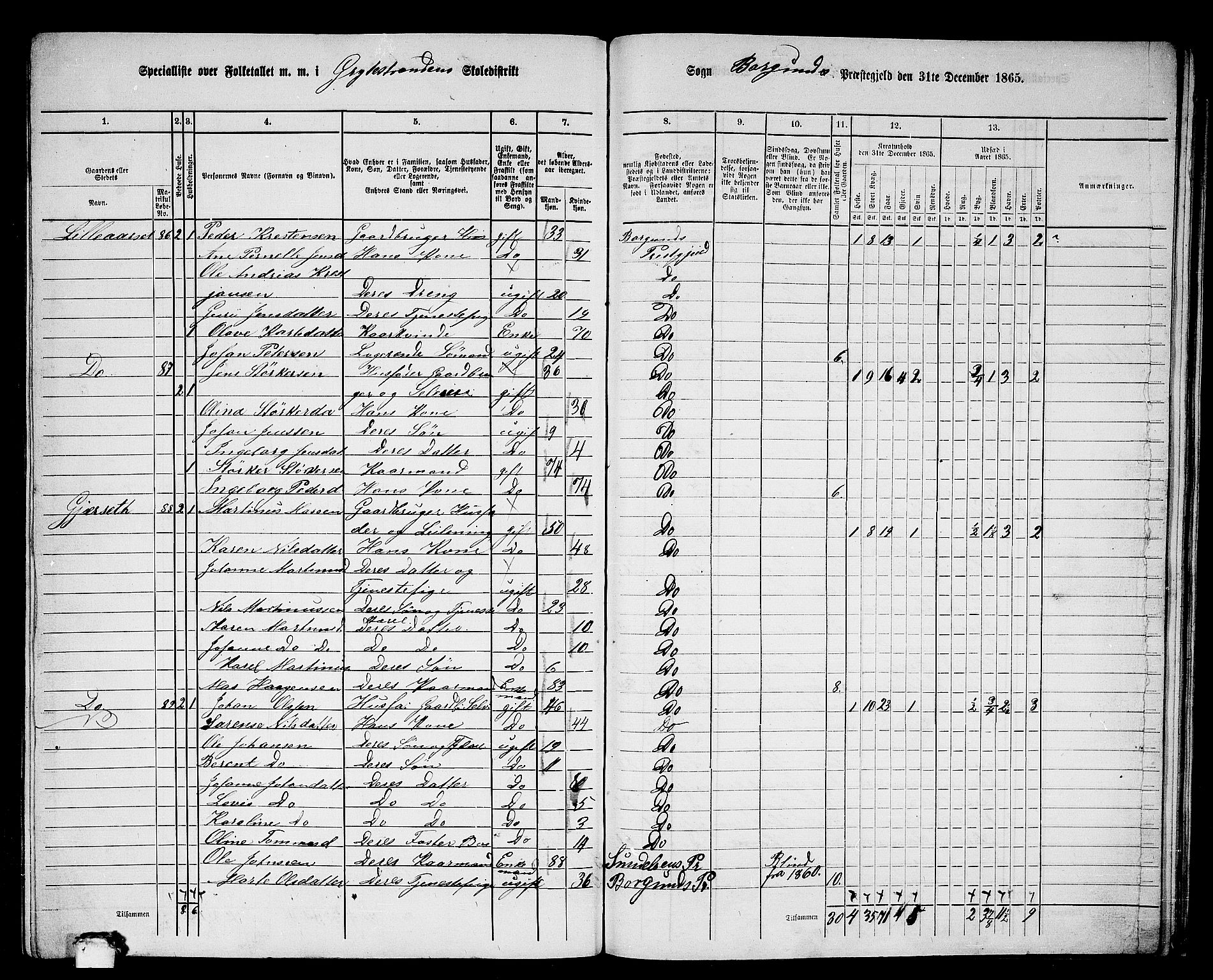 RA, 1865 census for Borgund, 1865, p. 221