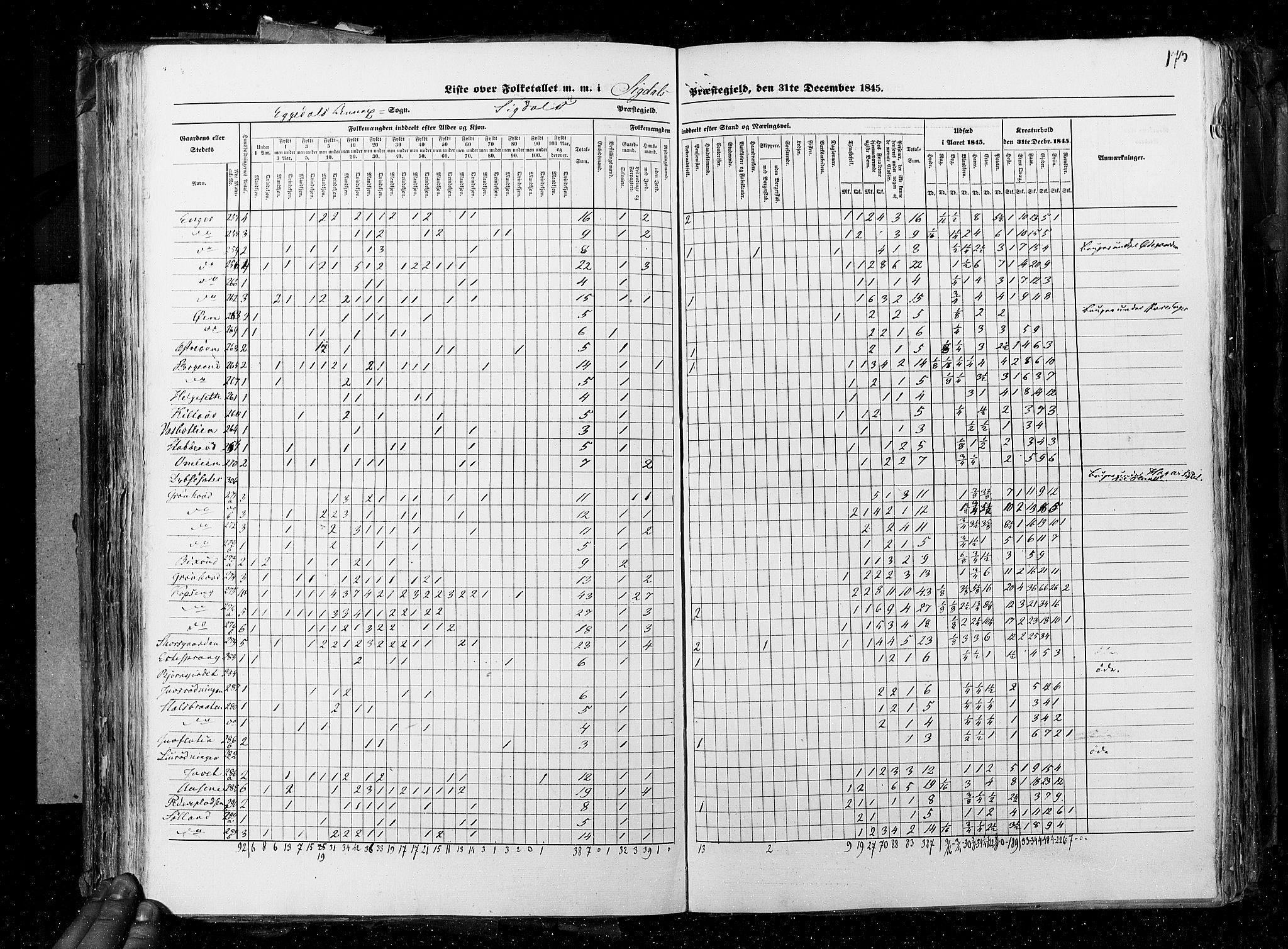 RA, Census 1845, vol. 4: Buskerud amt og Jarlsberg og Larvik amt, 1845, p. 173