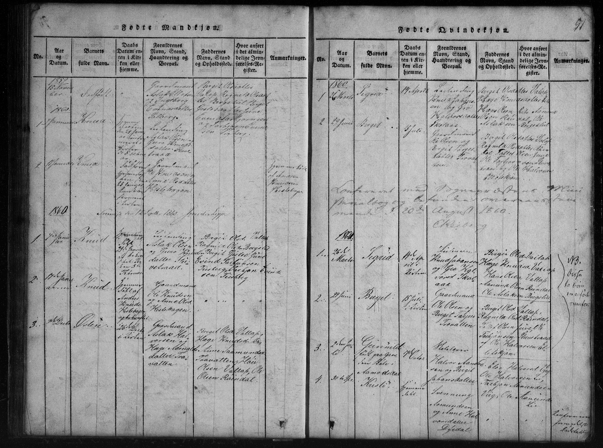 Rauland kirkebøker, AV/SAKO-A-292/G/Gb/L0001: Parish register (copy) no. II 1, 1815-1886, p. 51