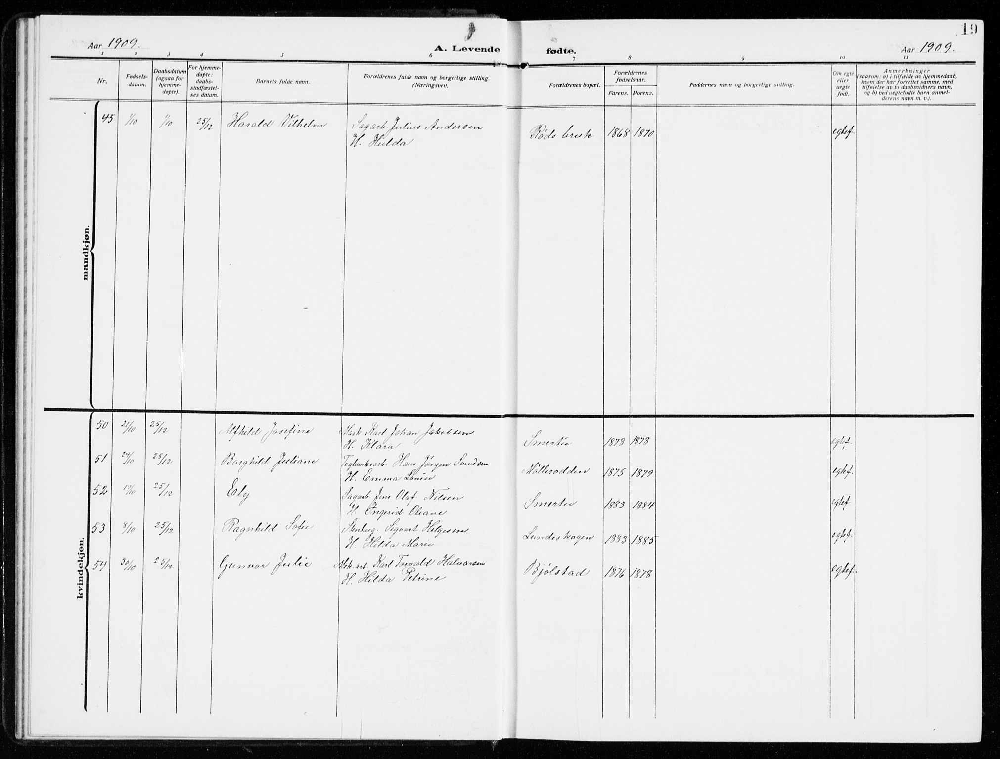 Kråkerøy prestekontor Kirkebøker, AV/SAO-A-10912/G/Ga/L0001: Parish register (copy) no. 1, 1908-1944, p. 19