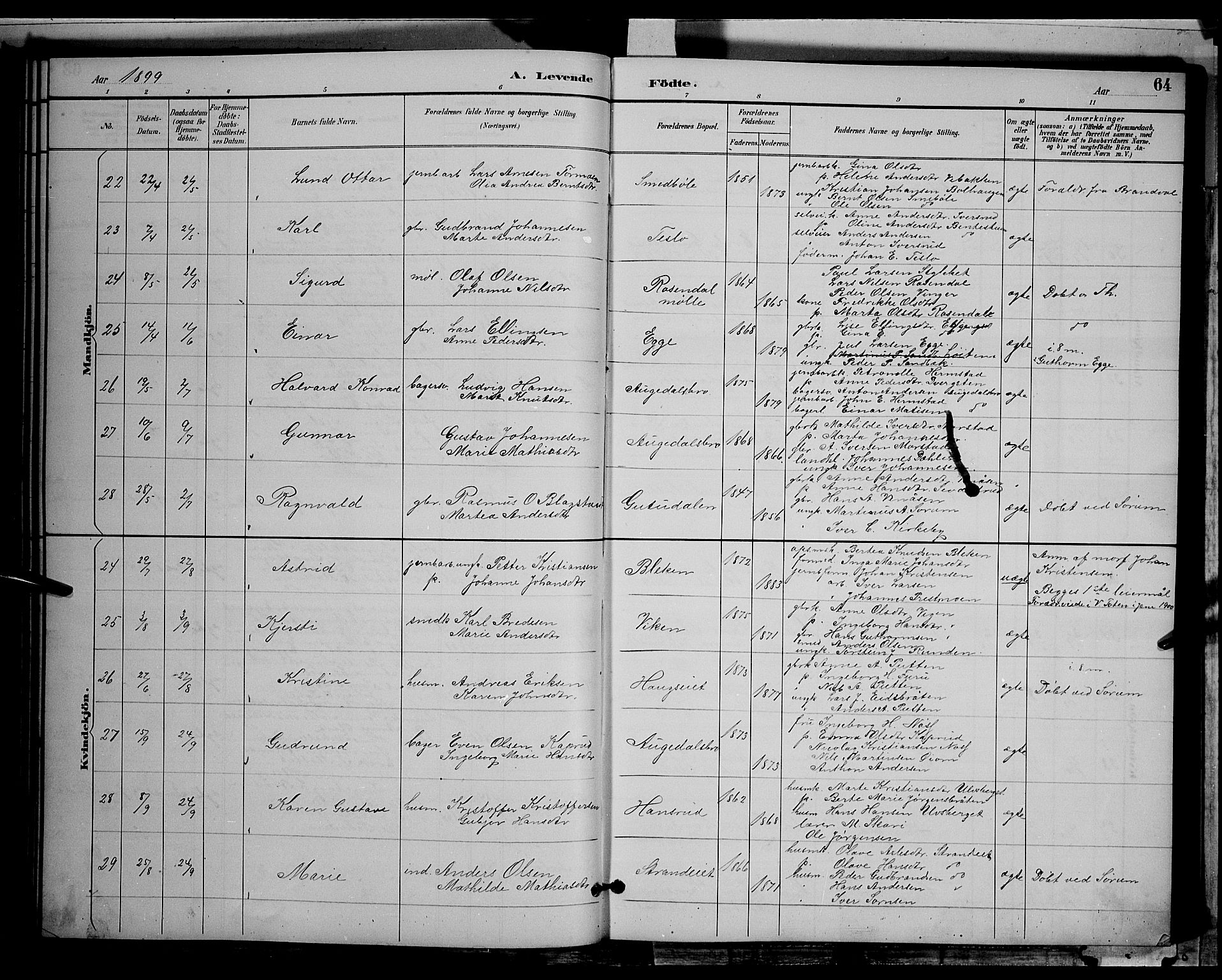 Gran prestekontor, AV/SAH-PREST-112/H/Ha/Hab/L0004: Parish register (copy) no. 4, 1890-1899, p. 64